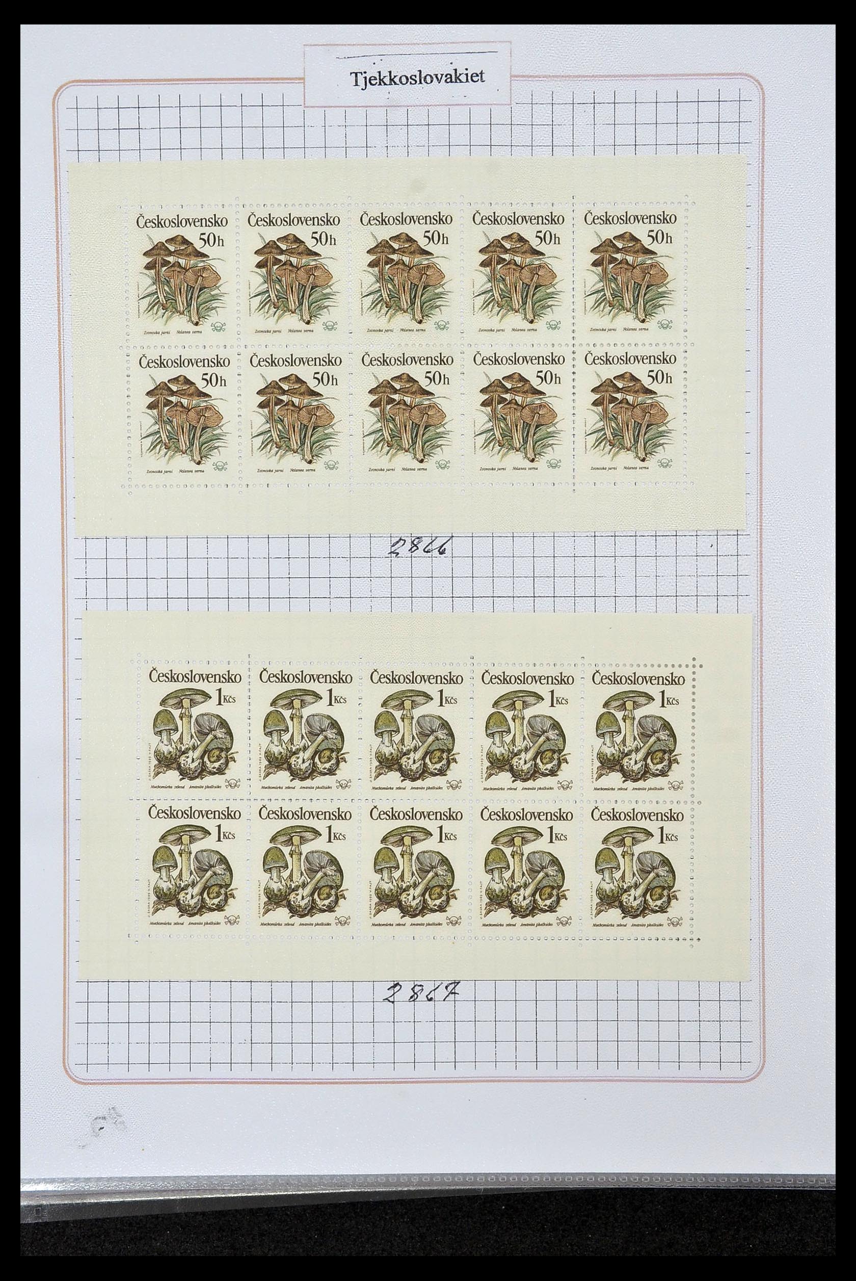 35070 0024 - Stamp Collection 35070 European countries 1860-2018.
