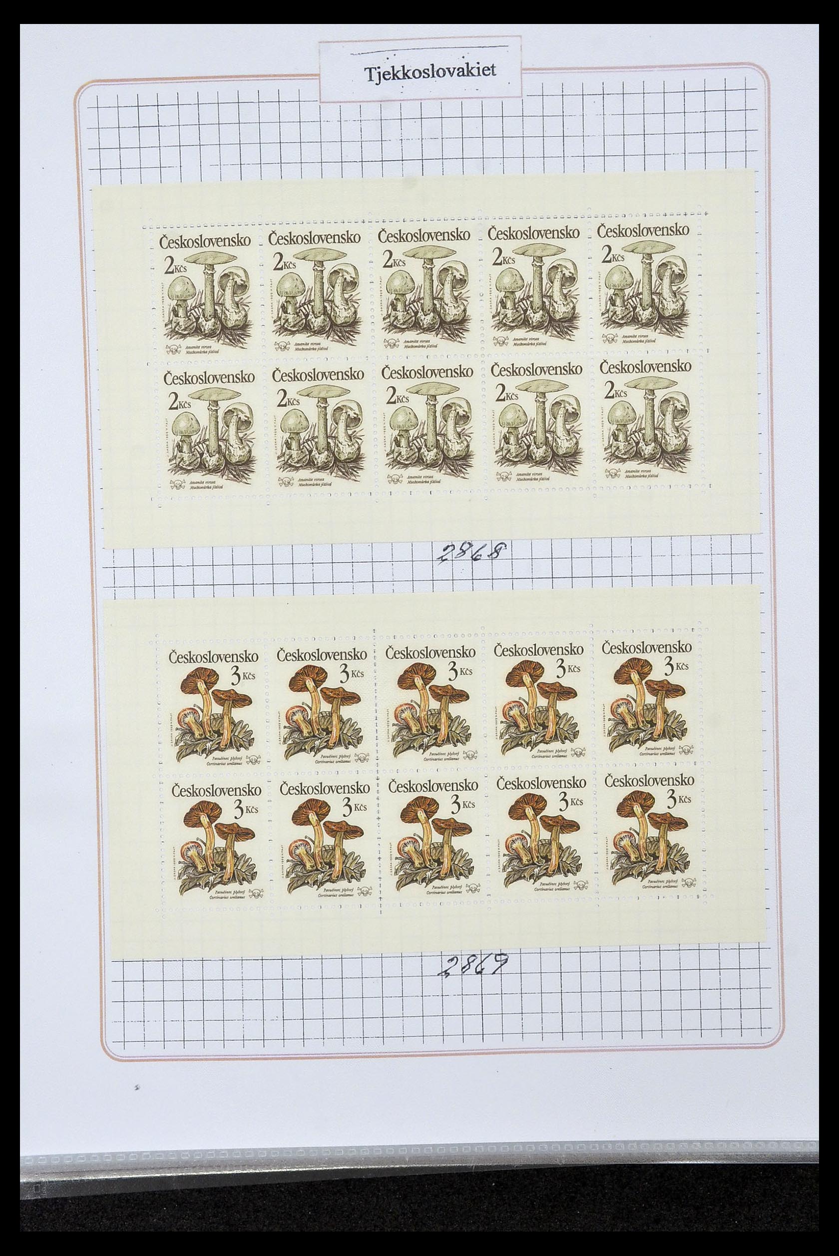 35070 0025 - Stamp Collection 35070 European countries 1860-2018.