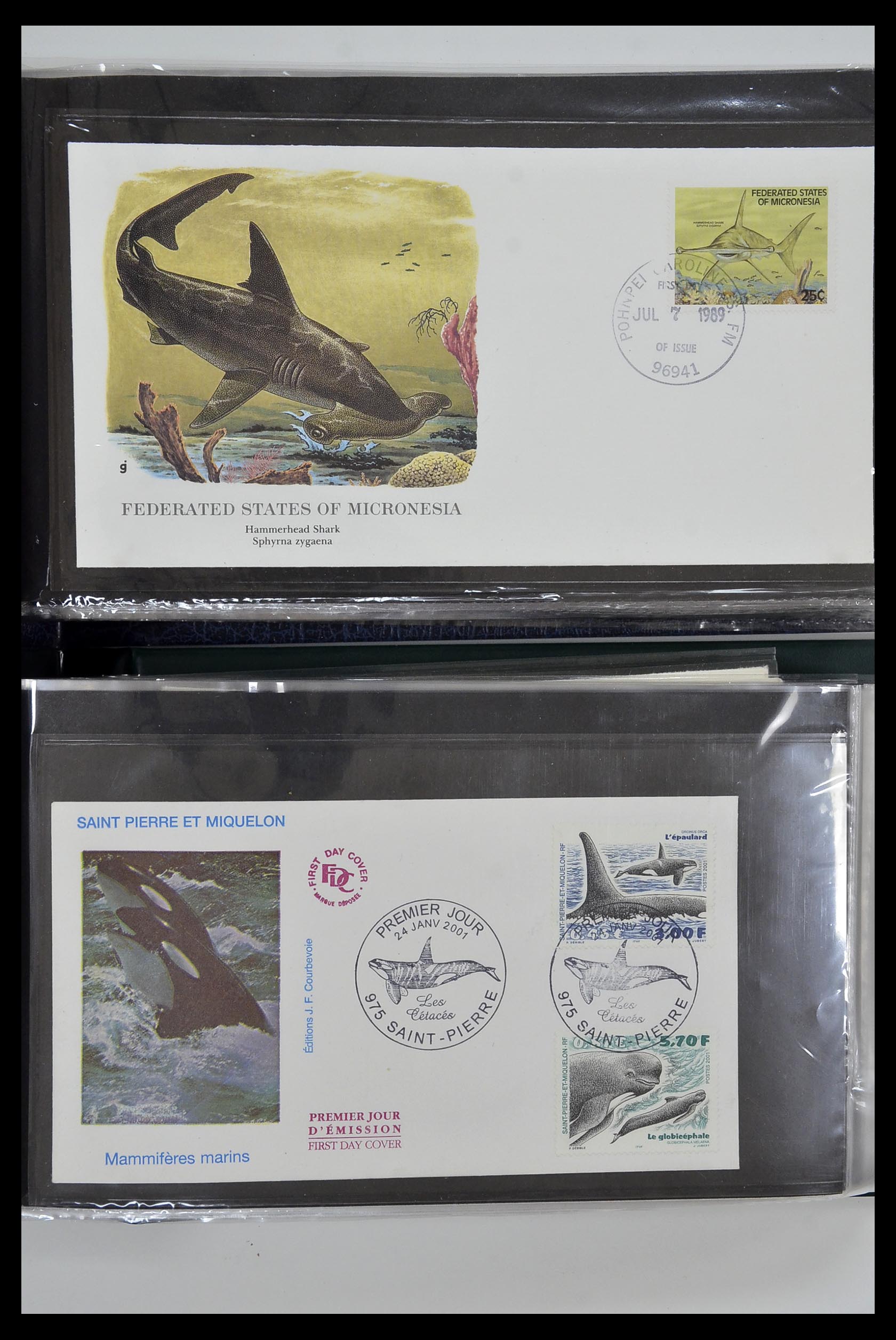 35076 015 - Stamp Collection 35076 Thematics fishes covers 1912-2000.