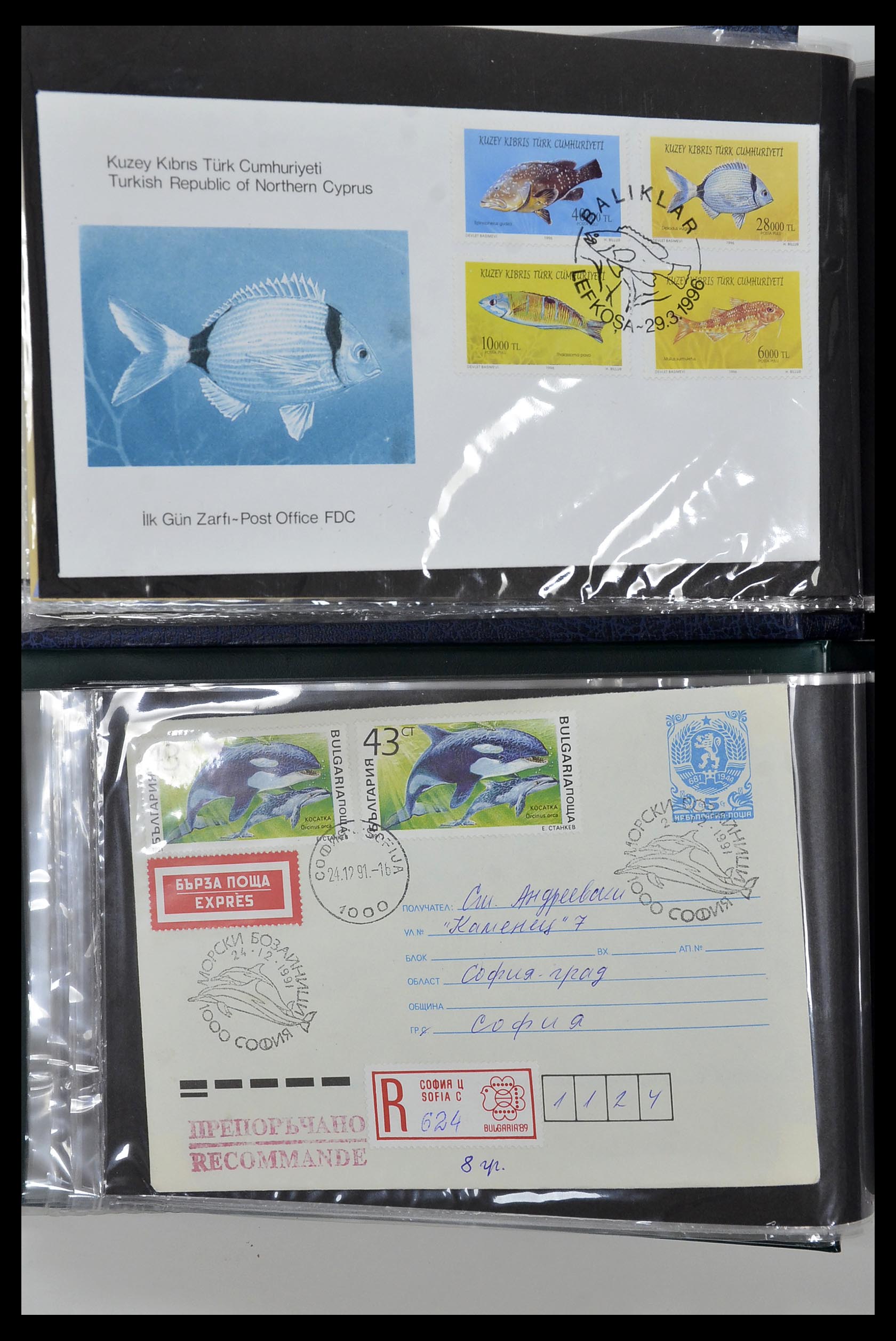 35076 020 - Stamp Collection 35076 Thematics fishes covers 1912-2000.