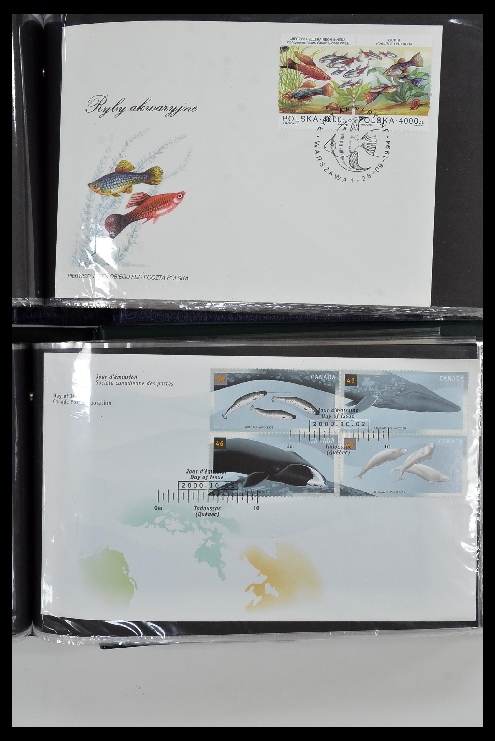35076 025 - Postzegelverzameling 35076 Motief vissen brieven 1912-2000.