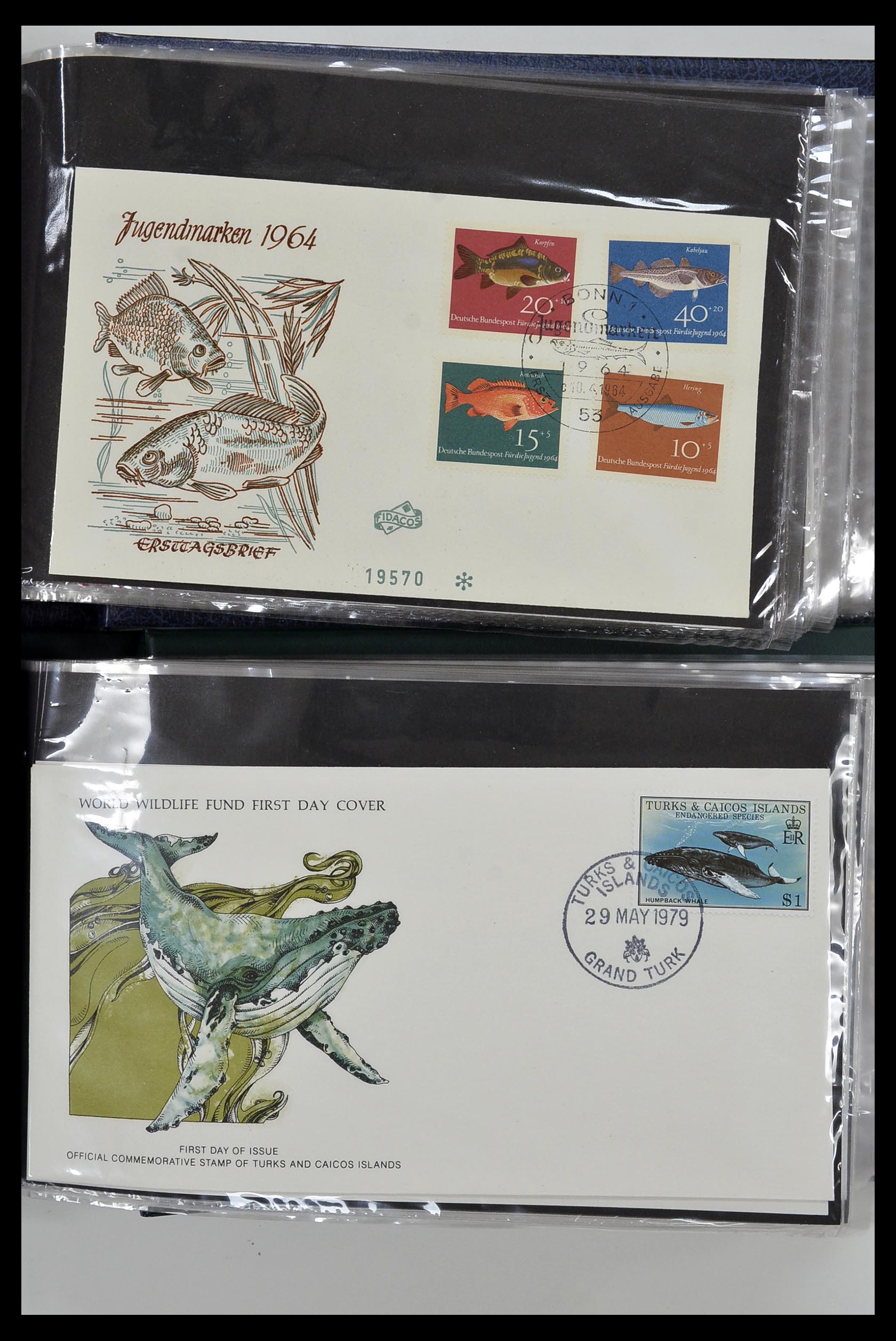 35076 028 - Stamp Collection 35076 Thematics fishes covers 1912-2000.