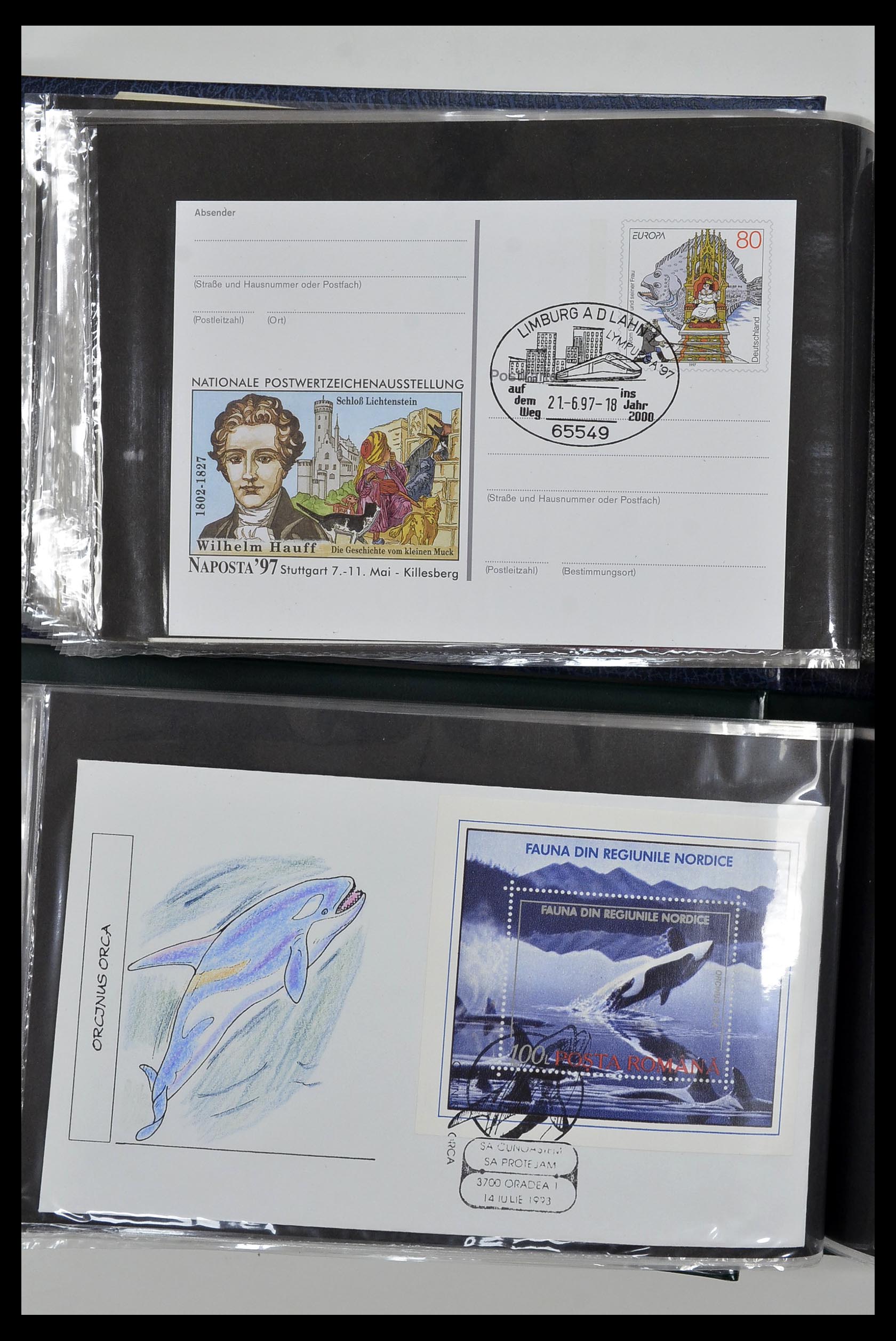 35076 034 - Postzegelverzameling 35076 Motief vissen brieven 1912-2000.