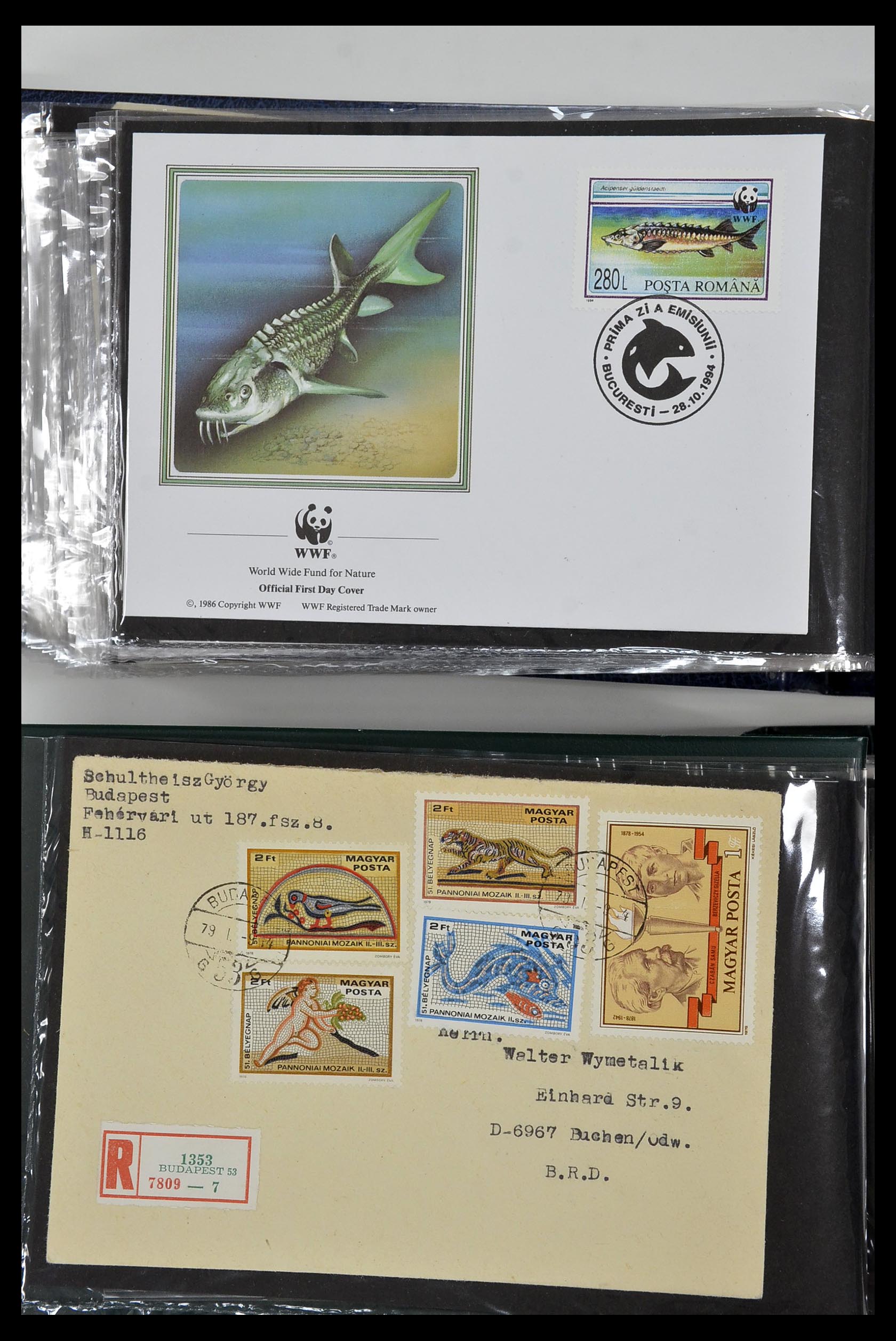35076 060 - Stamp Collection 35076 Thematics fishes covers 1912-2000.