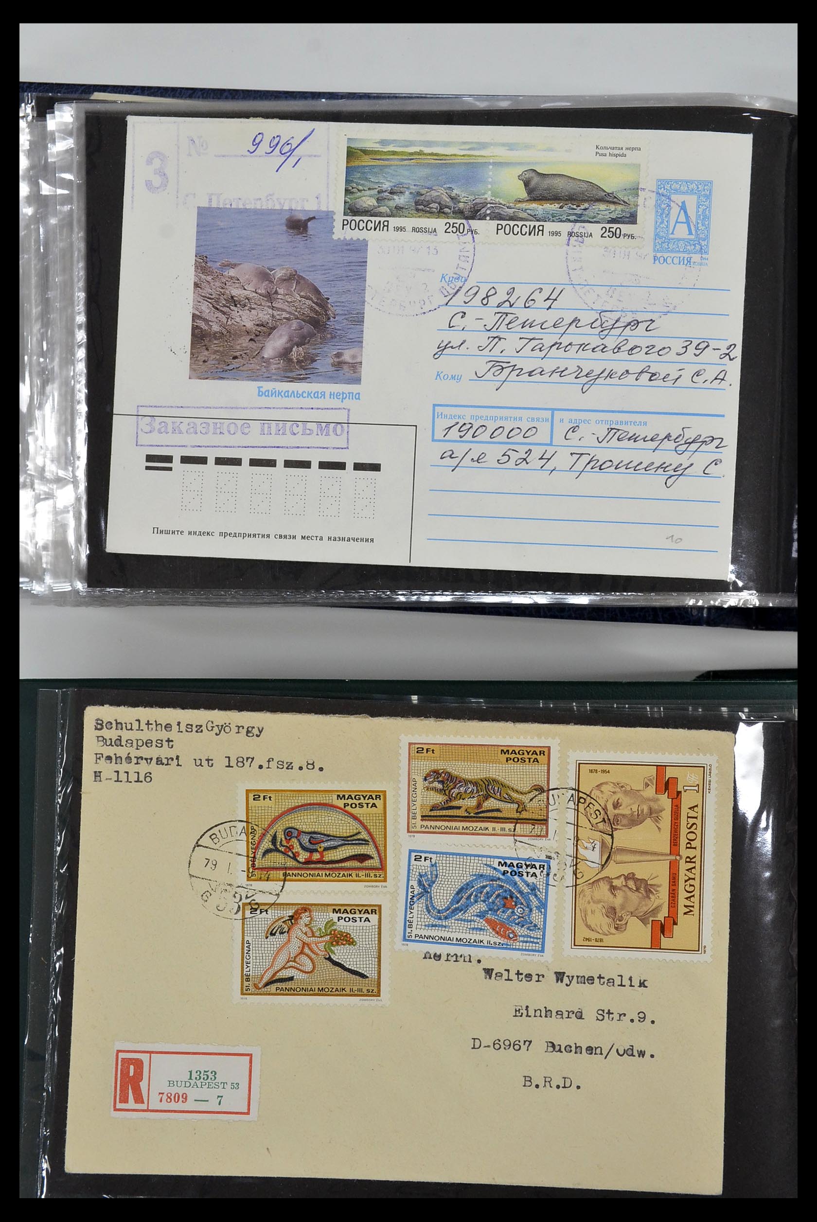 35076 061 - Stamp Collection 35076 Thematics fishes covers 1912-2000.