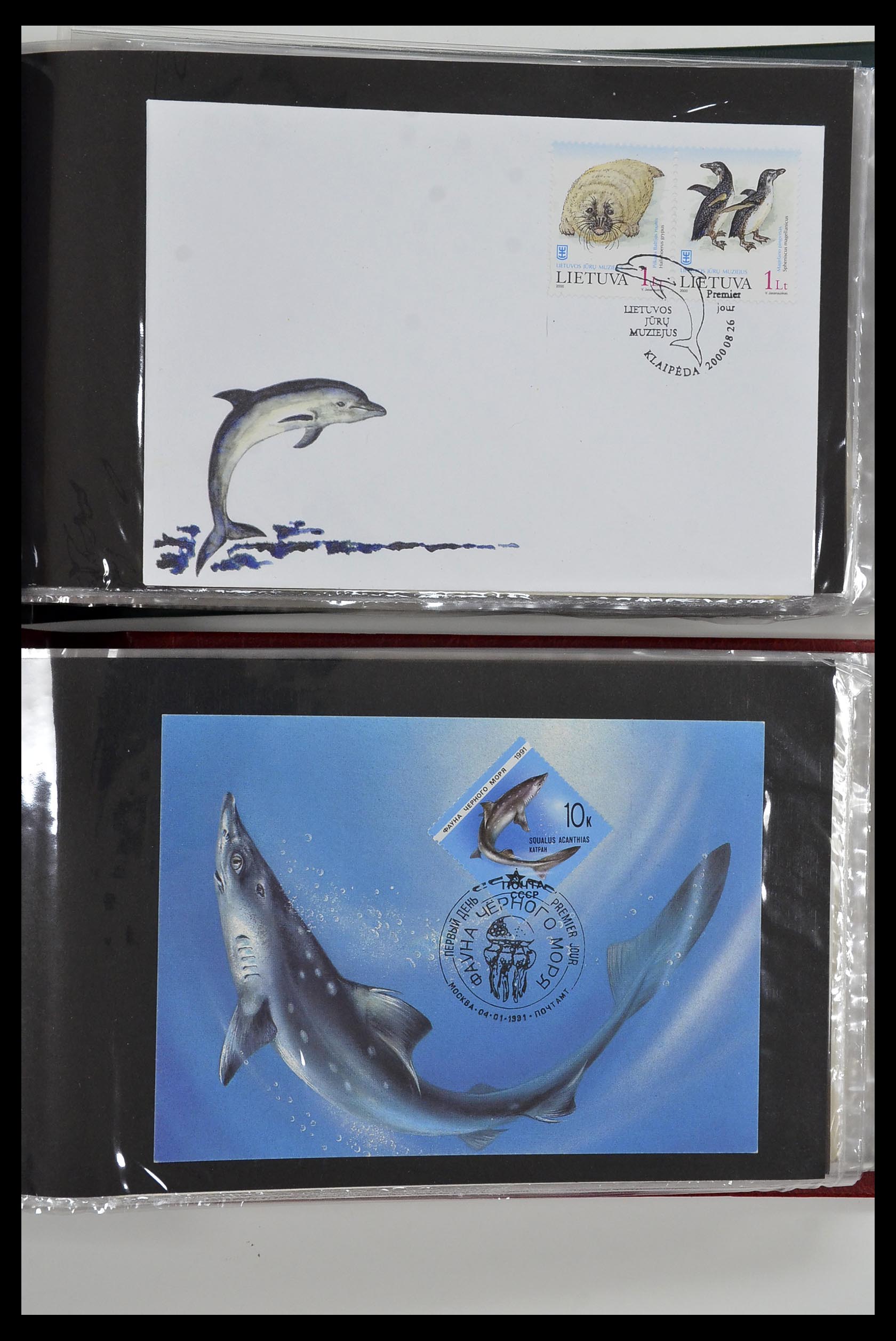 35076 075 - Stamp Collection 35076 Thematics fishes covers 1912-2000.