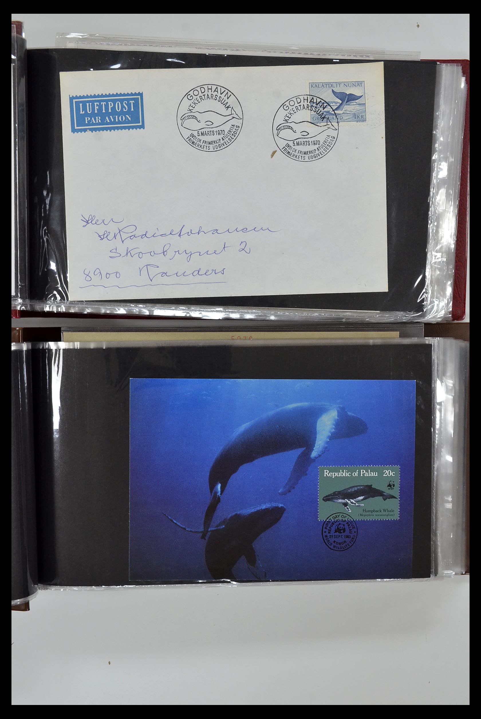 35076 827 - Stamp Collection 35076 Thematics fishes covers 1912-2000.