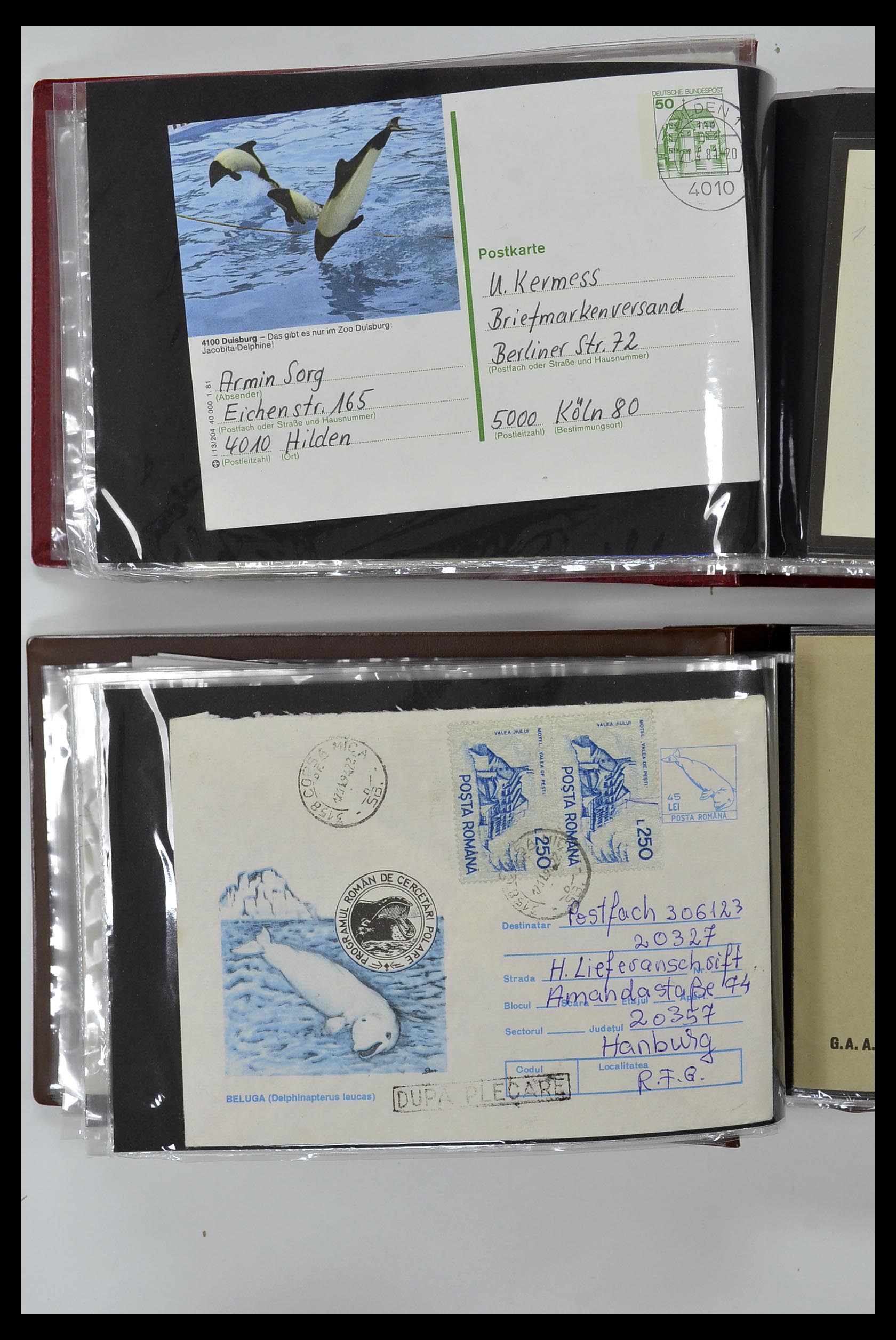 35076 838 - Postzegelverzameling 35076 Motief vissen brieven 1912-2000.