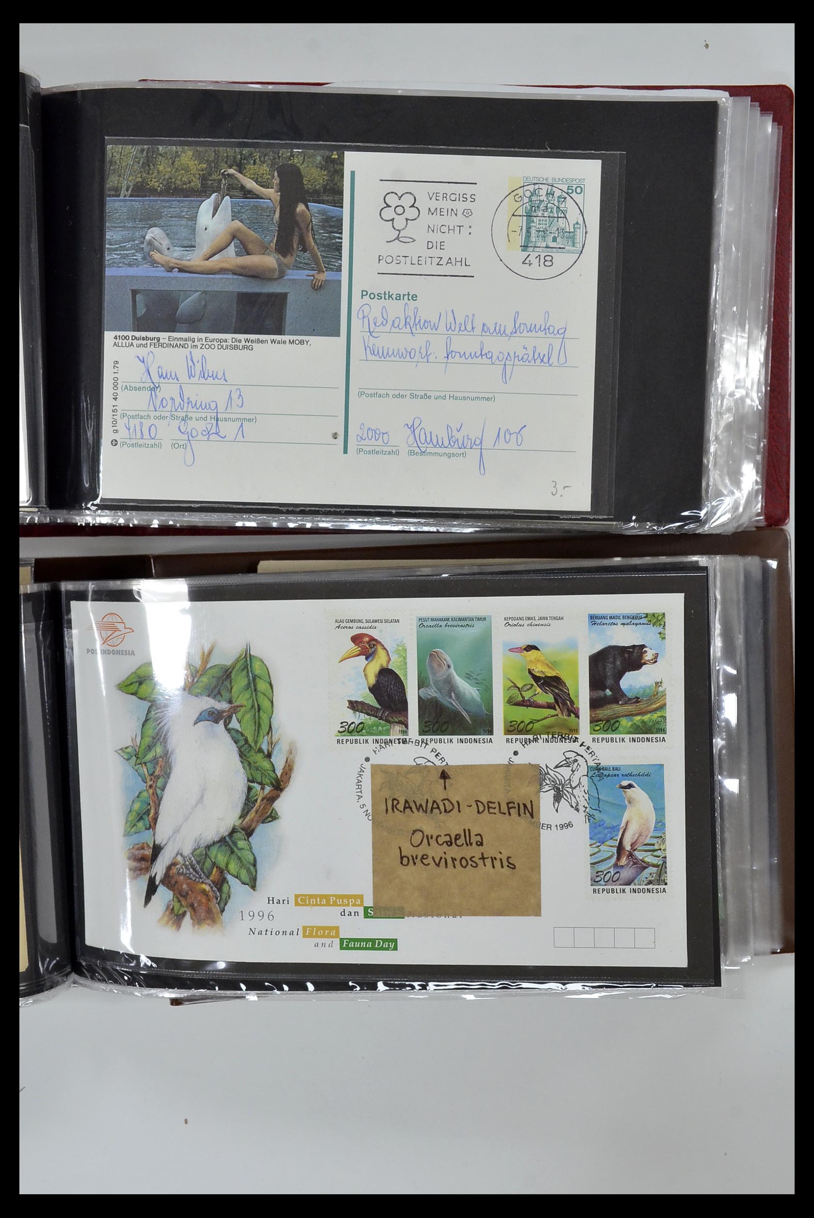 35076 843 - Postzegelverzameling 35076 Motief vissen brieven 1912-2000.