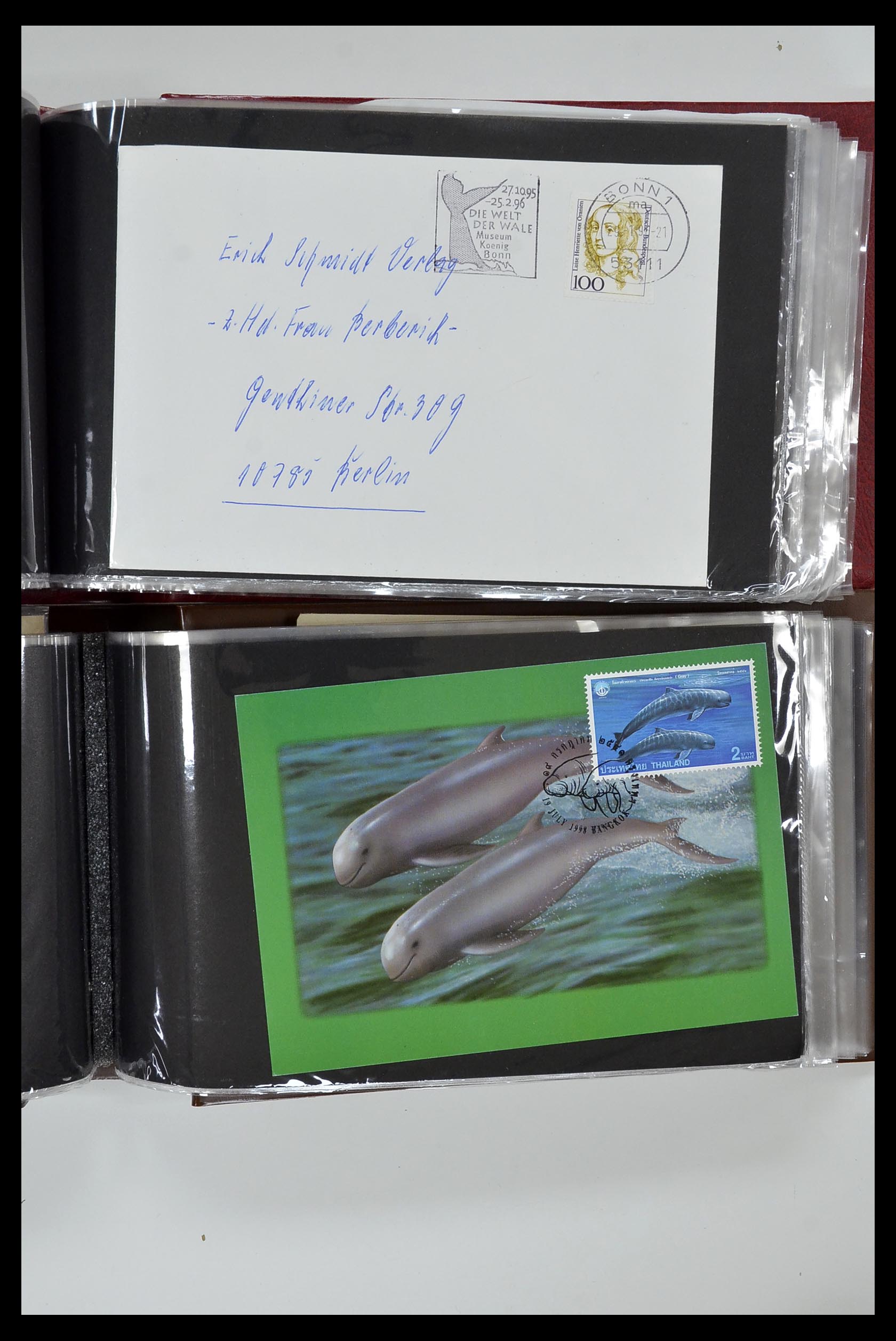35076 851 - Stamp Collection 35076 Thematics fishes covers 1912-2000.