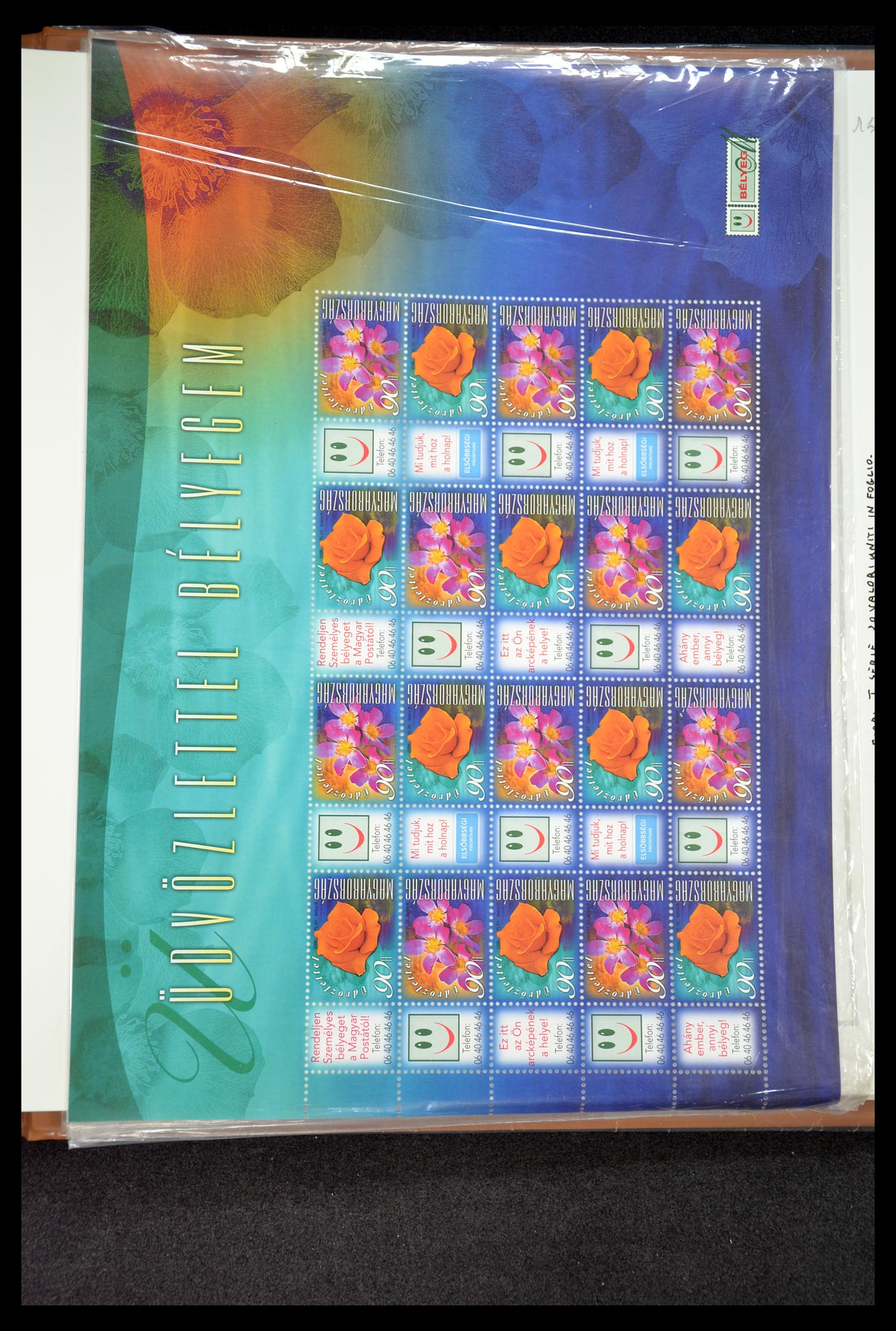 35091 556 - Postzegelverzameling 35091 Hongarije 1913-2012.