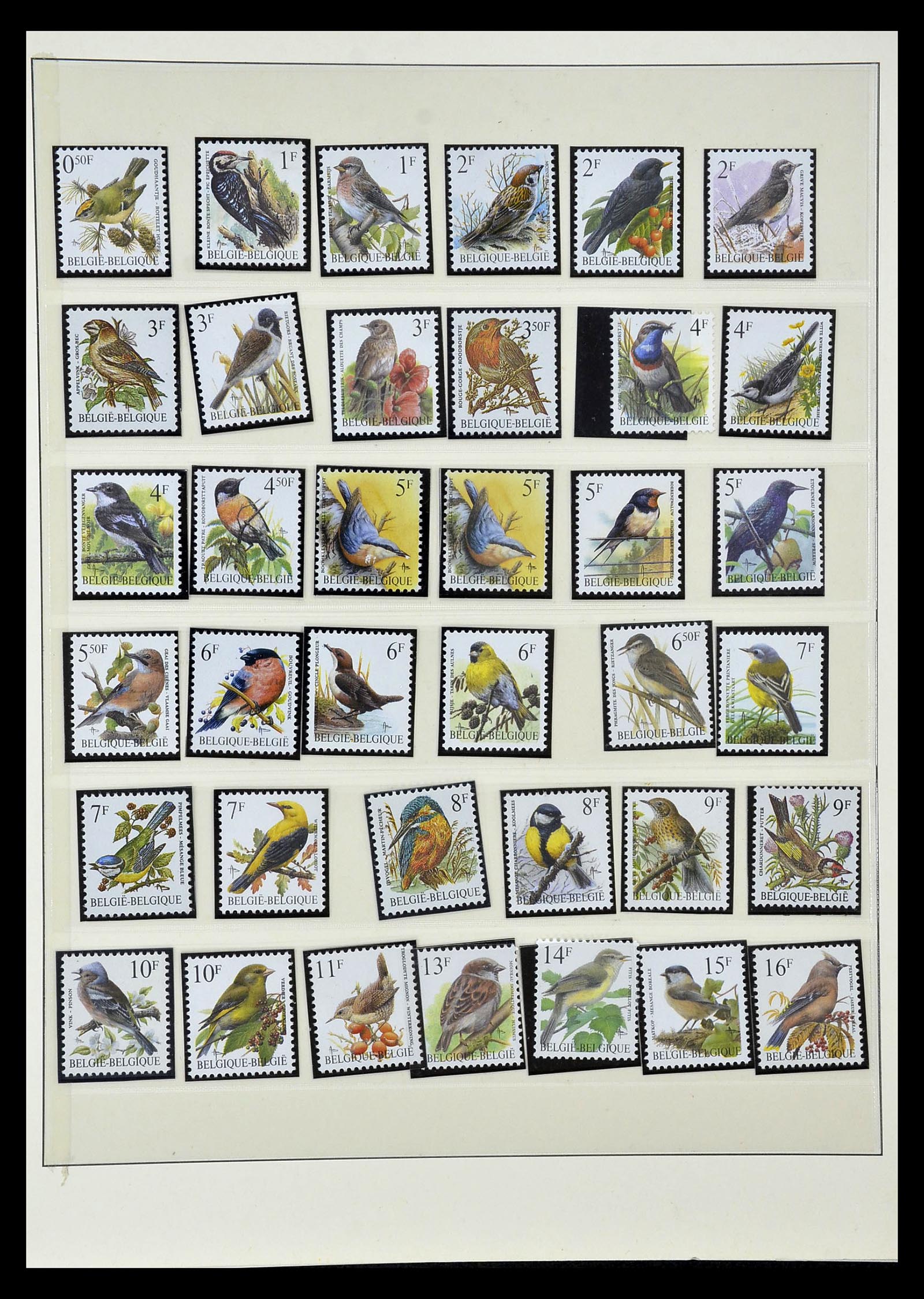 35104 001 - Stamp Collection 35104 Belgium specialties 1920-1990.