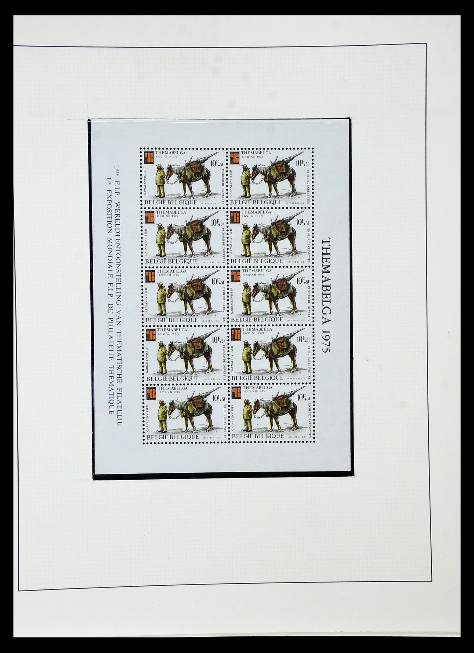 35104 034 - Postzegelverzameling 35104 België specialiteiten 1920-1990.
