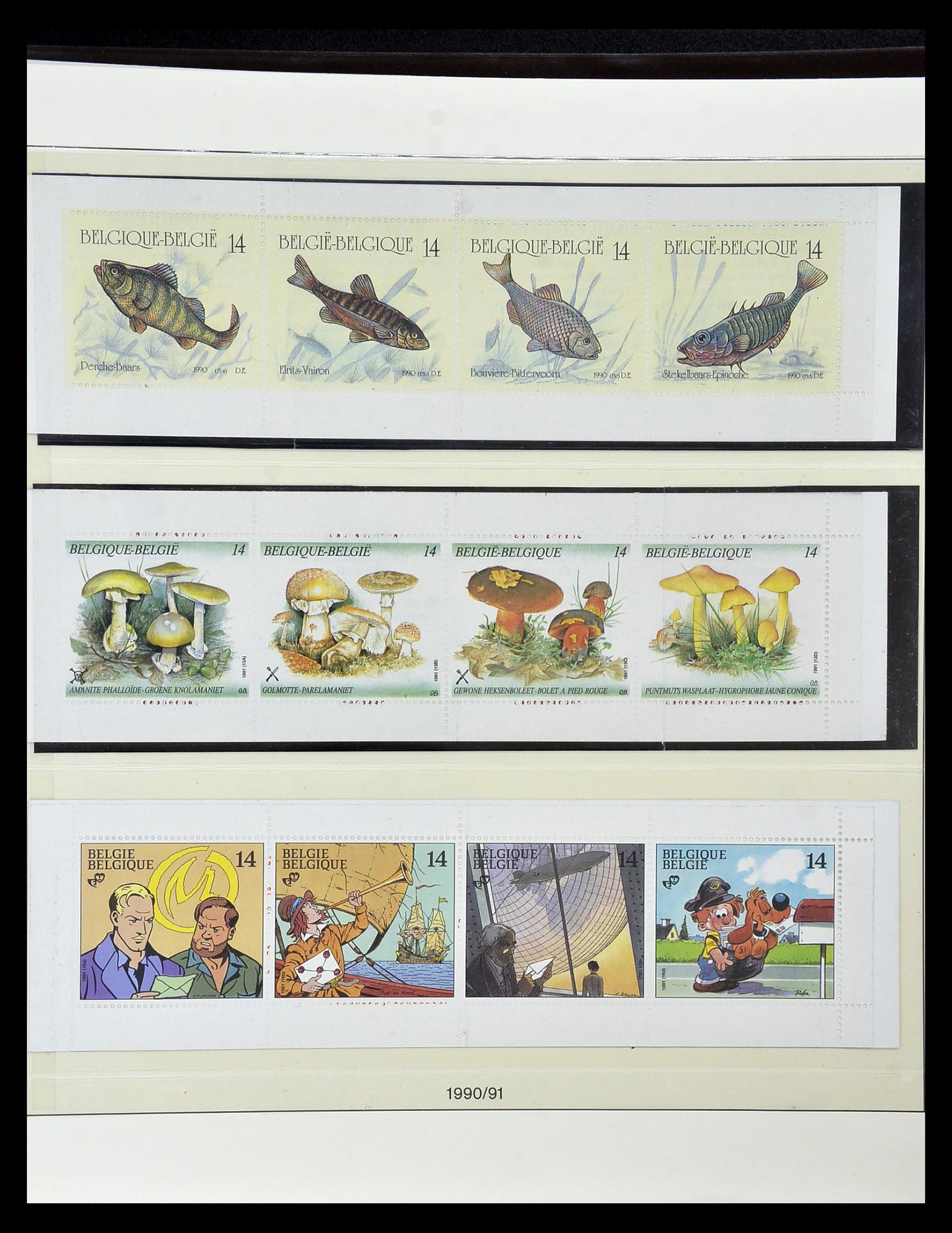 35104 054 - Postzegelverzameling 35104 België specialiteiten 1920-1990.