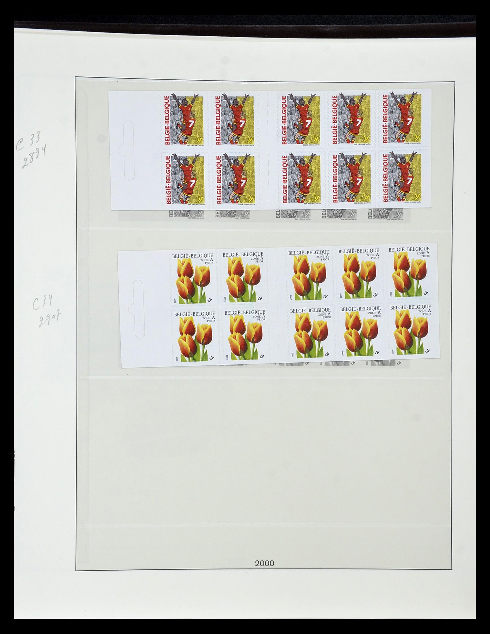 35104 059 - Postzegelverzameling 35104 België specialiteiten 1920-1990.