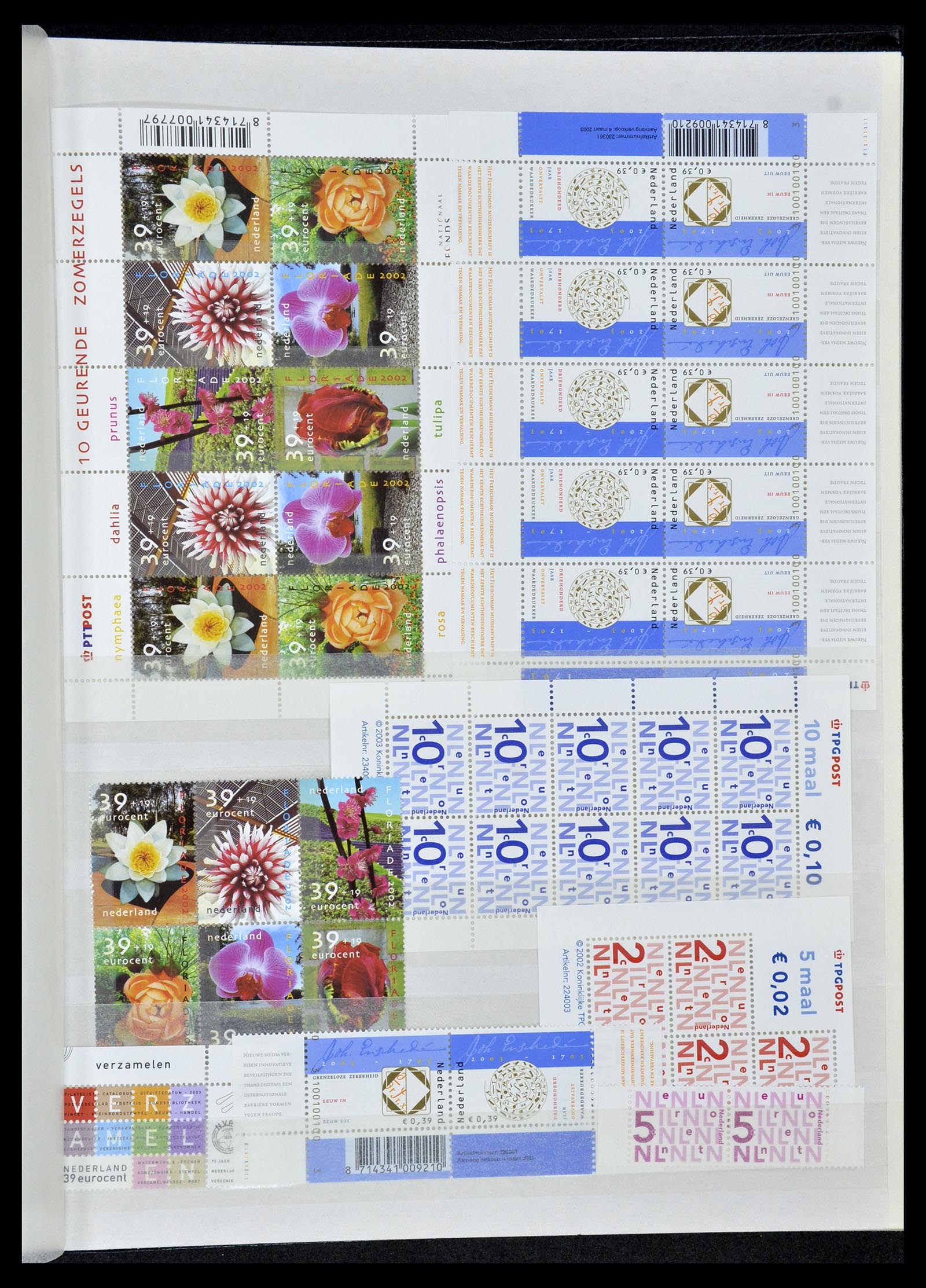 35126 021 - Stamp Collection 35126 Netherlands 1999-2019!