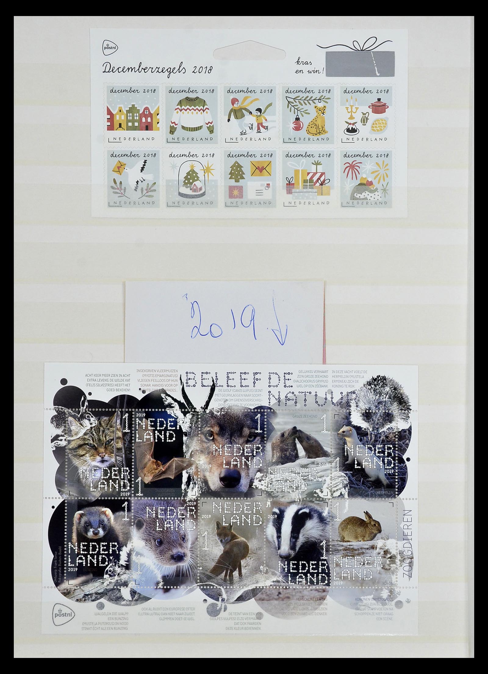 35126 108 - Stamp Collection 35126 Netherlands 1999-2019!