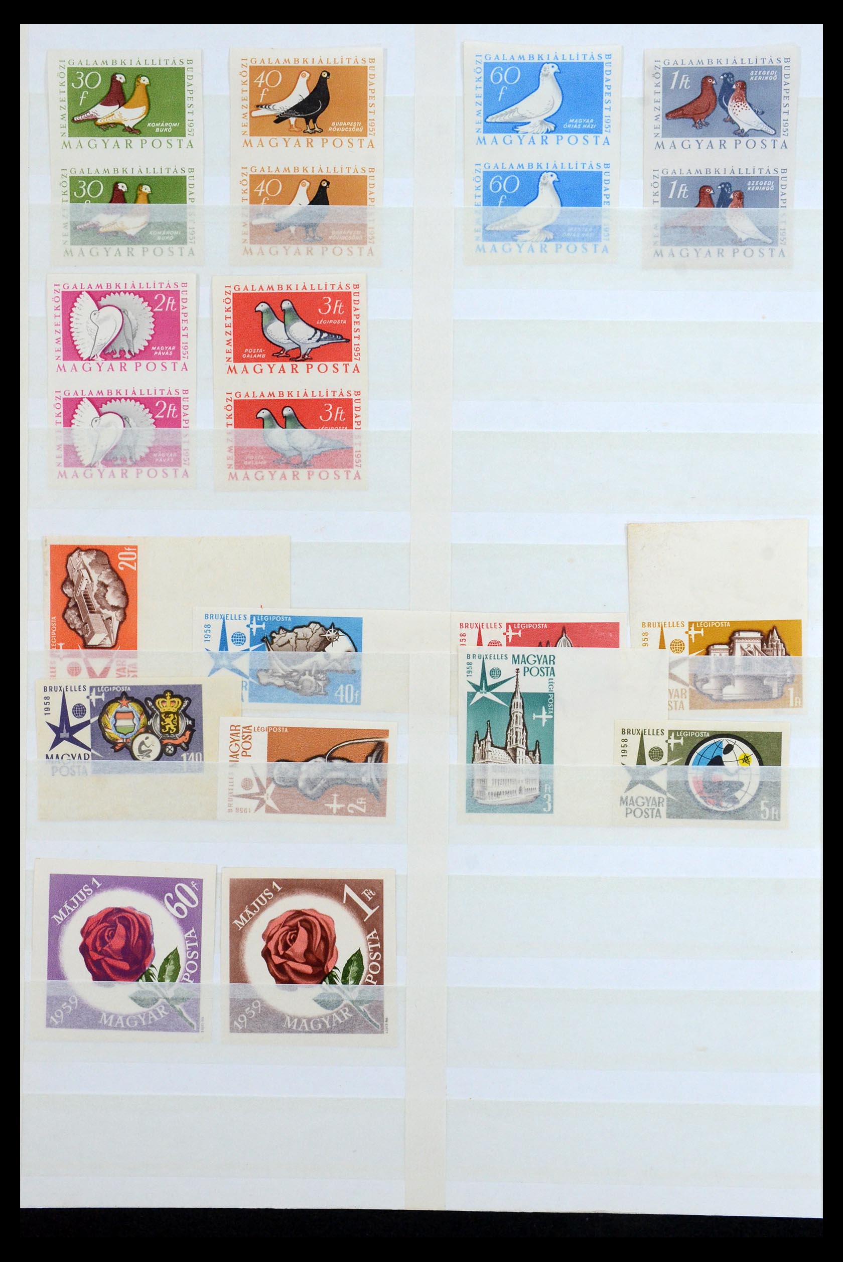 35143 006 - Postzegelverzameling 35143 Hongarije ONGETAND 1942-1991.