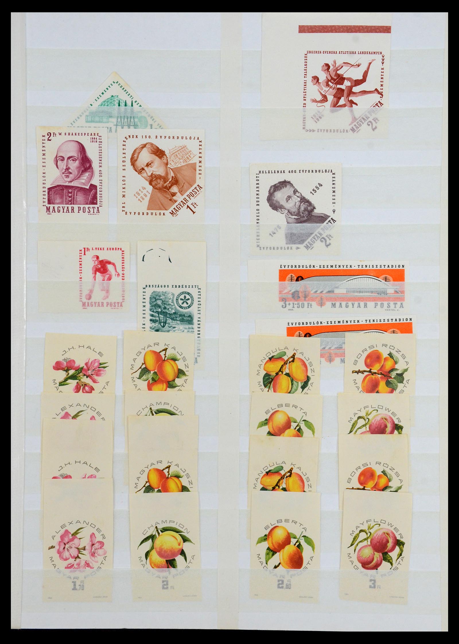 35143 017 - Postzegelverzameling 35143 Hongarije ONGETAND 1942-1991.