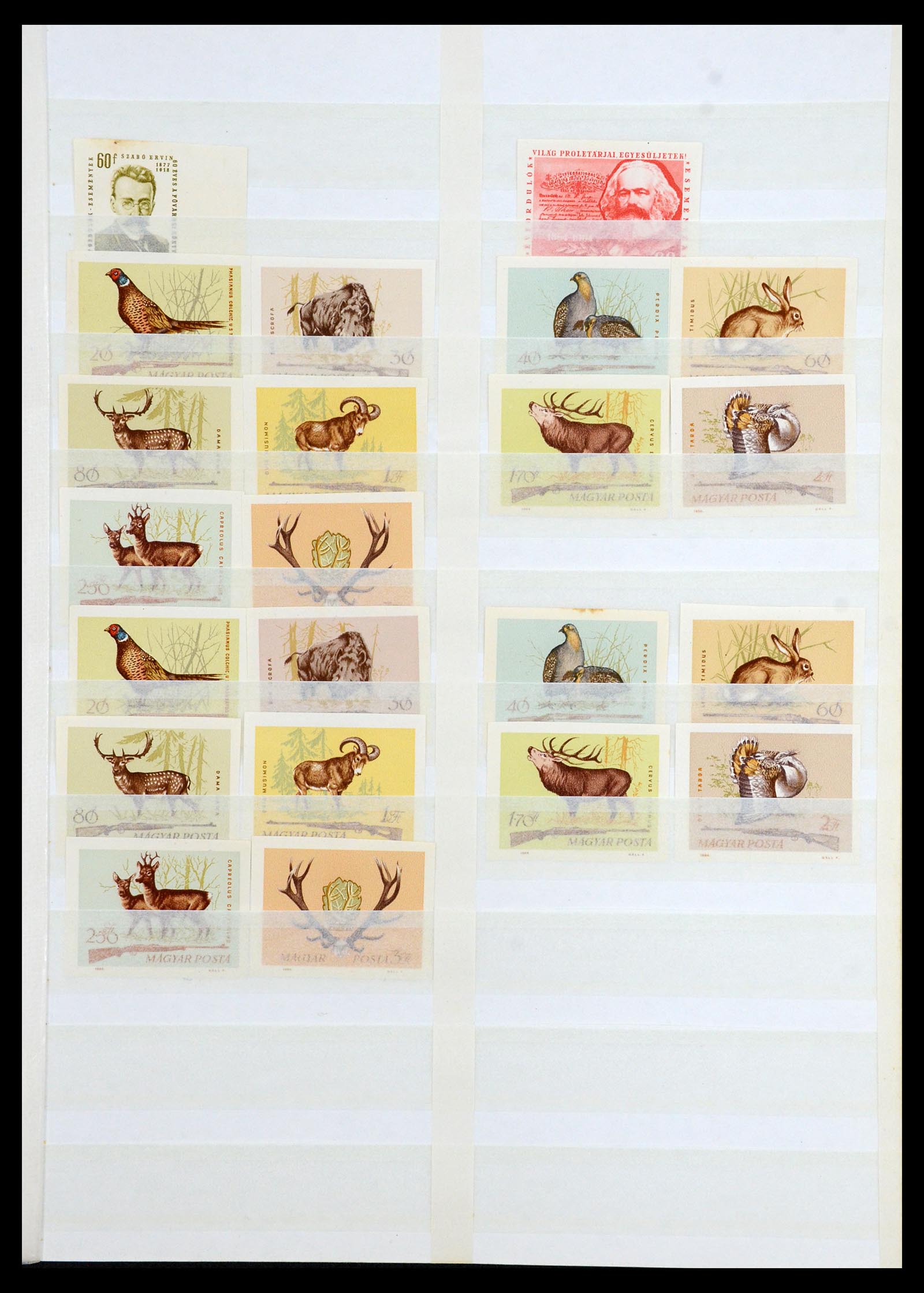 35143 019 - Postzegelverzameling 35143 Hongarije ONGETAND 1942-1991.