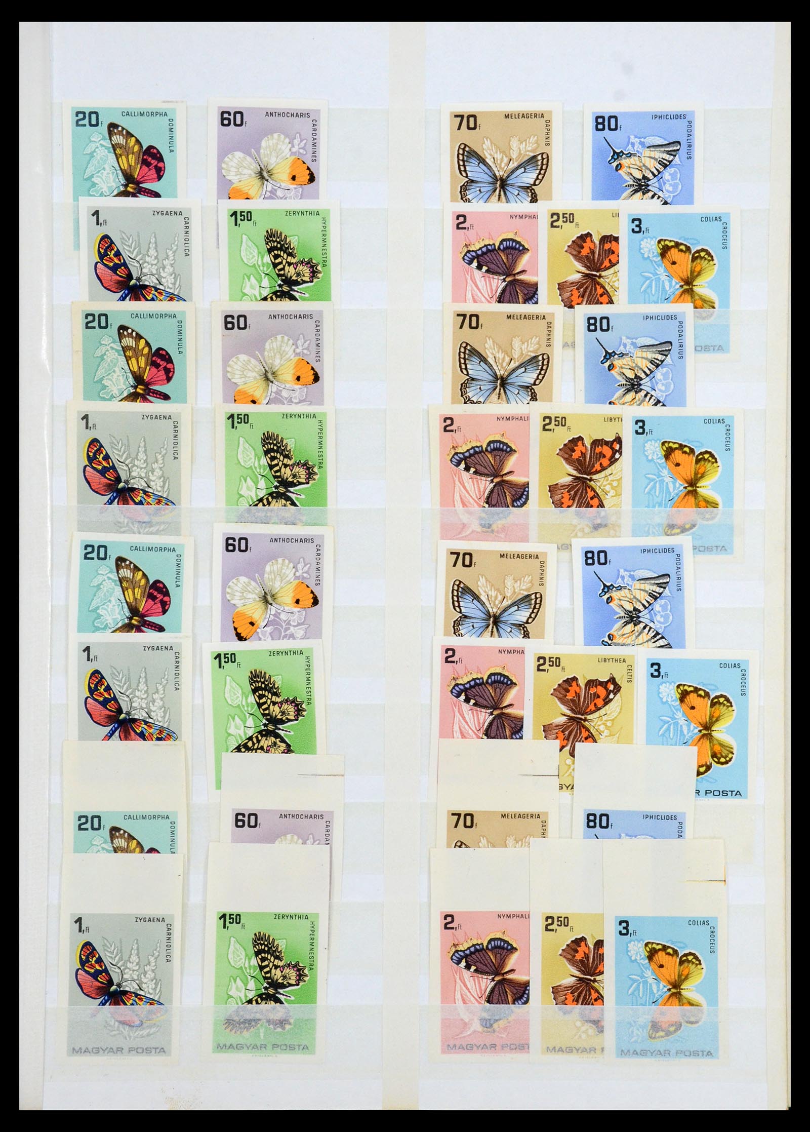 35143 027 - Postzegelverzameling 35143 Hongarije ONGETAND 1942-1991.