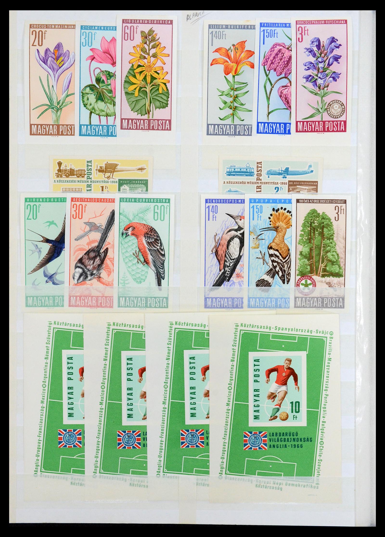 35143 028 - Postzegelverzameling 35143 Hongarije ONGETAND 1942-1991.