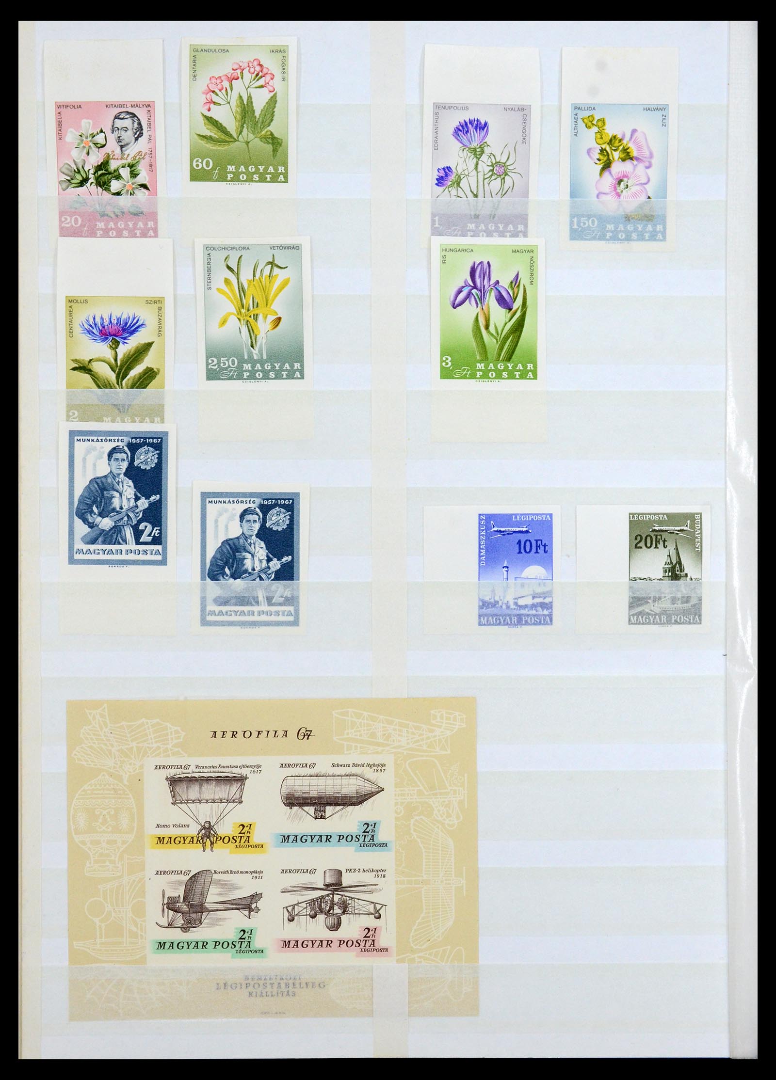 35143 034 - Postzegelverzameling 35143 Hongarije ONGETAND 1942-1991.