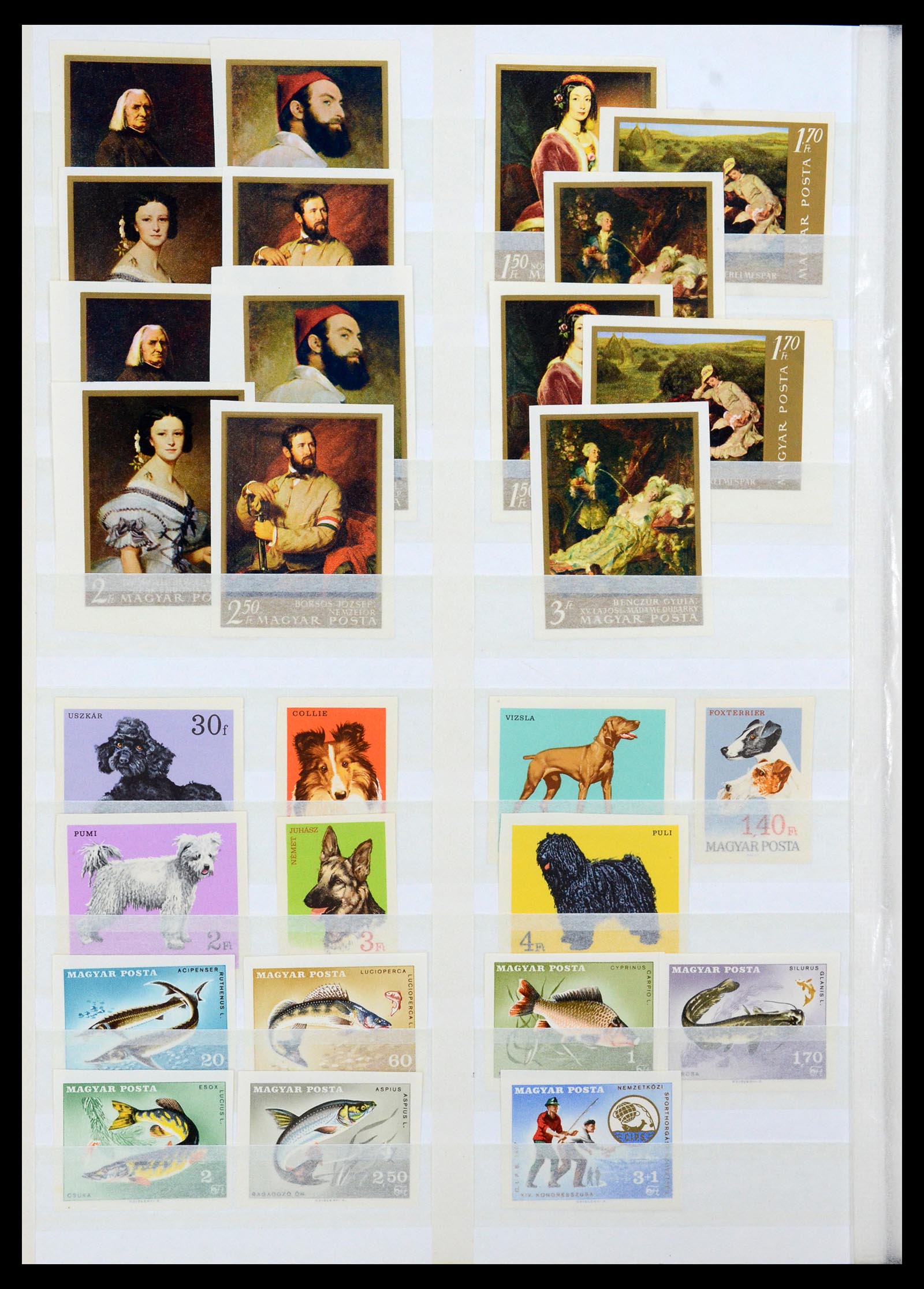 35143 036 - Postzegelverzameling 35143 Hongarije ONGETAND 1942-1991.