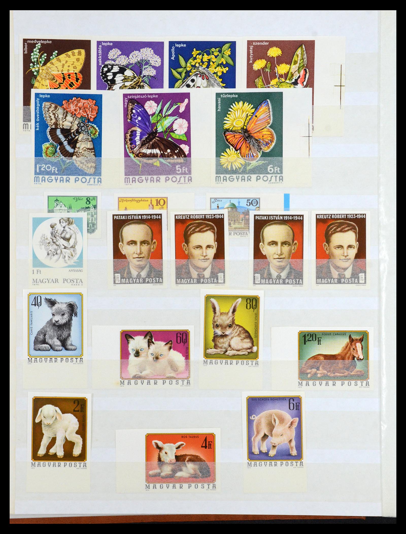 35143 074 - Postzegelverzameling 35143 Hongarije ONGETAND 1942-1991.