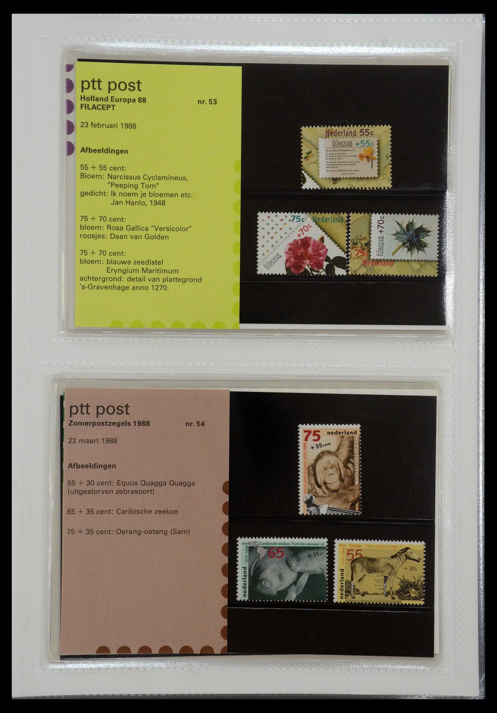 35144 027 - Postzegelverzameling 35144 Nederland PTT mapjes 1982-2021!
