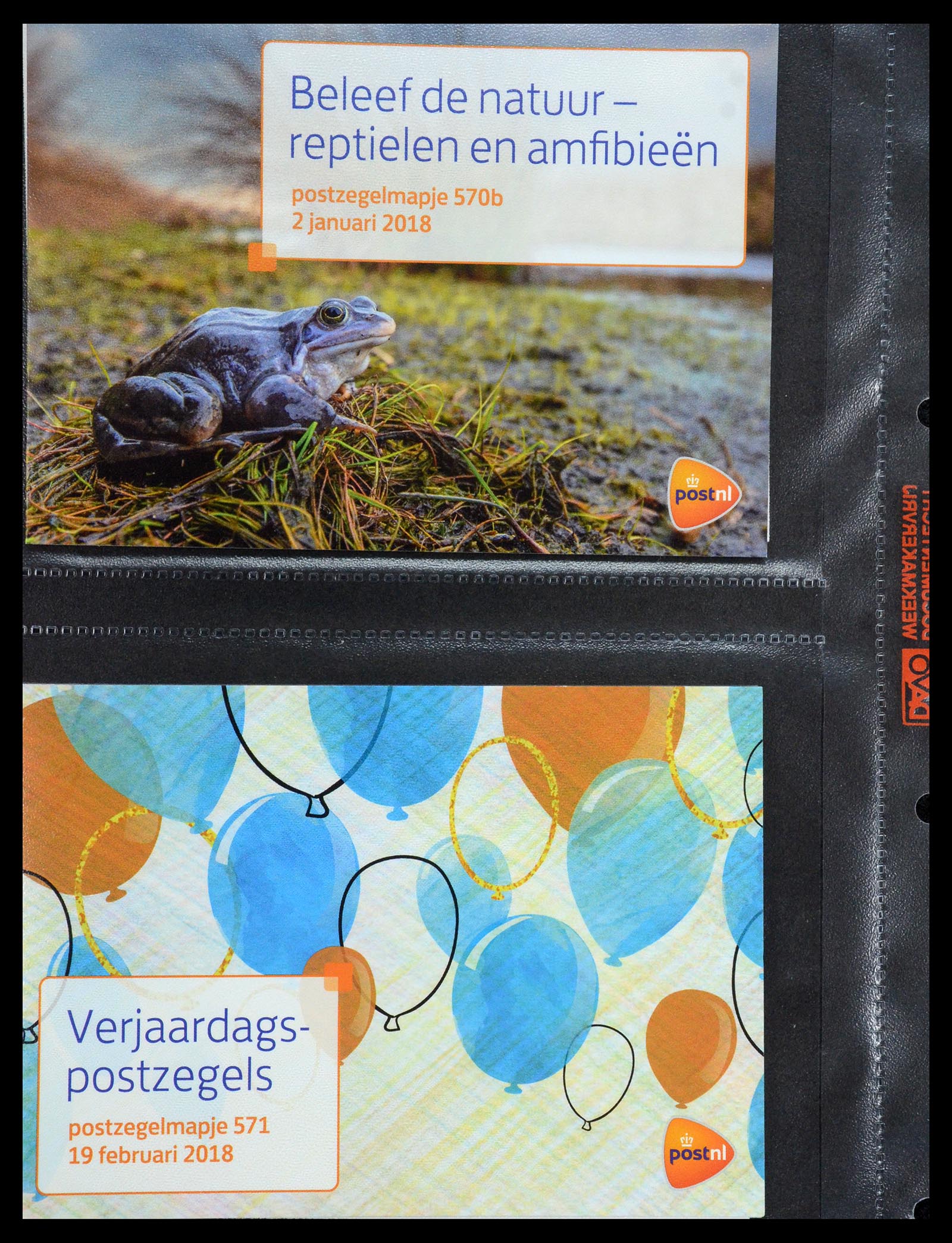 35144 344 - Stamp Collection 35144 Netherlands PTT presentation packs 1982-2021!
