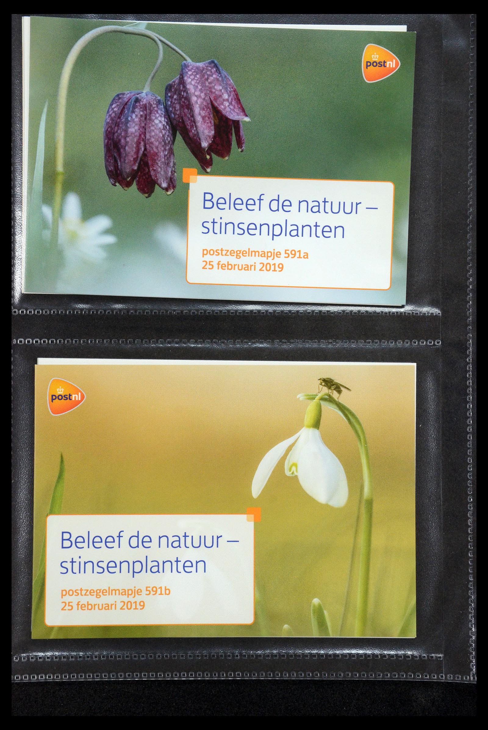 35144 358 - Stamp Collection 35144 Netherlands PTT presentation packs 1982-2021!