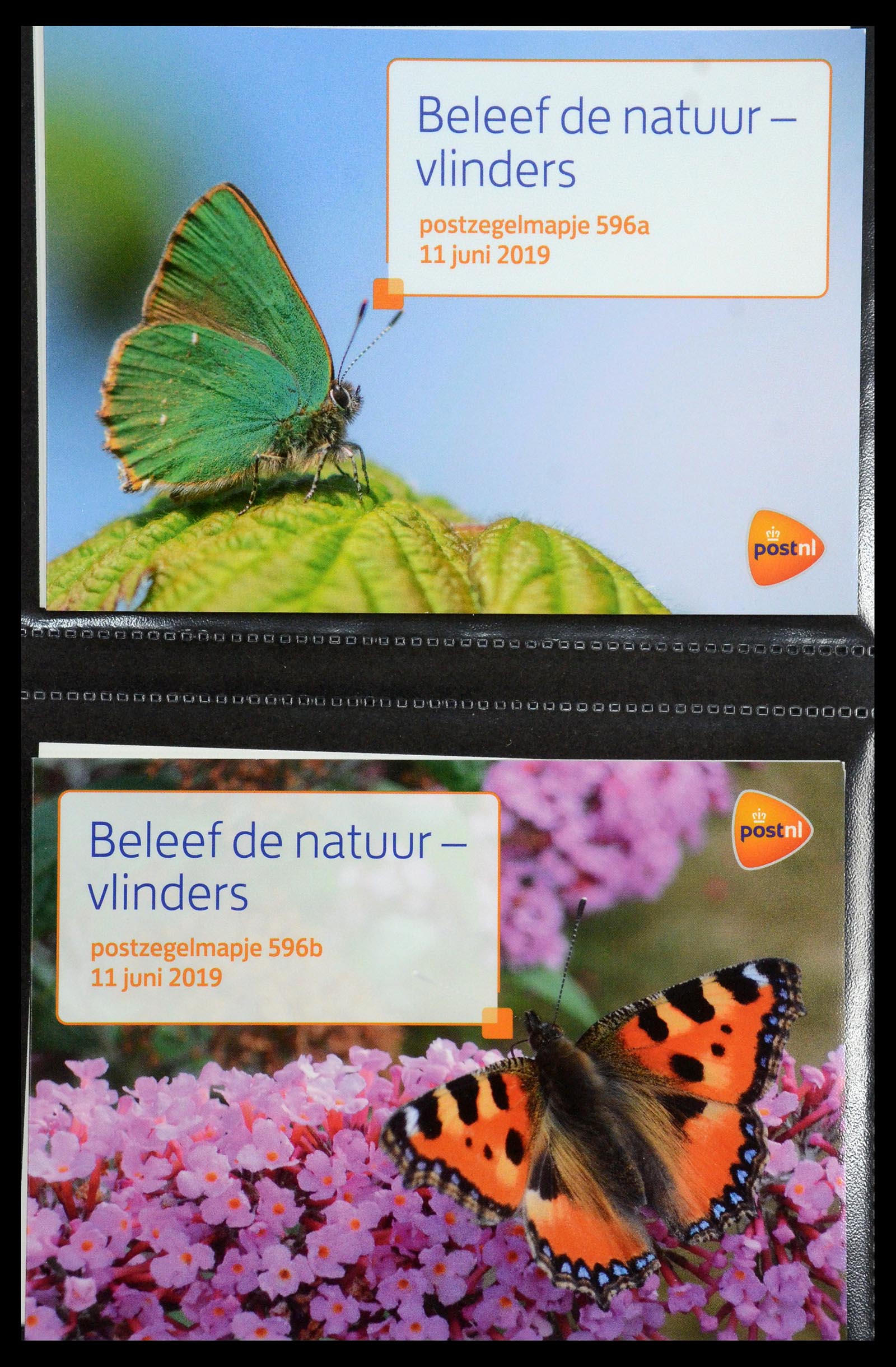 35144 361 - Stamp Collection 35144 Netherlands PTT presentation packs 1982-2021!