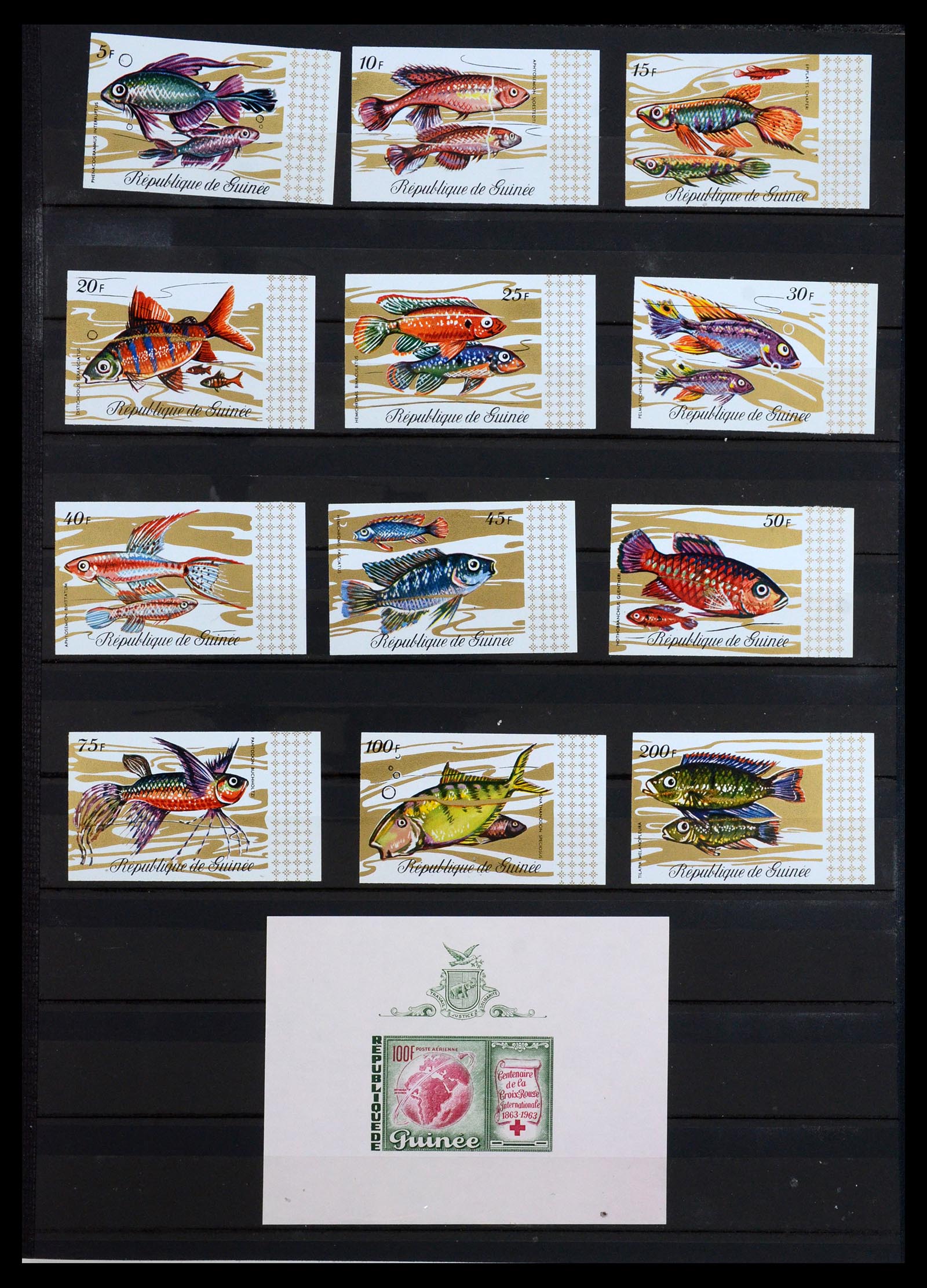 35169 004 - Postzegelverzameling 35169 Franse koloniën 1880-1980.