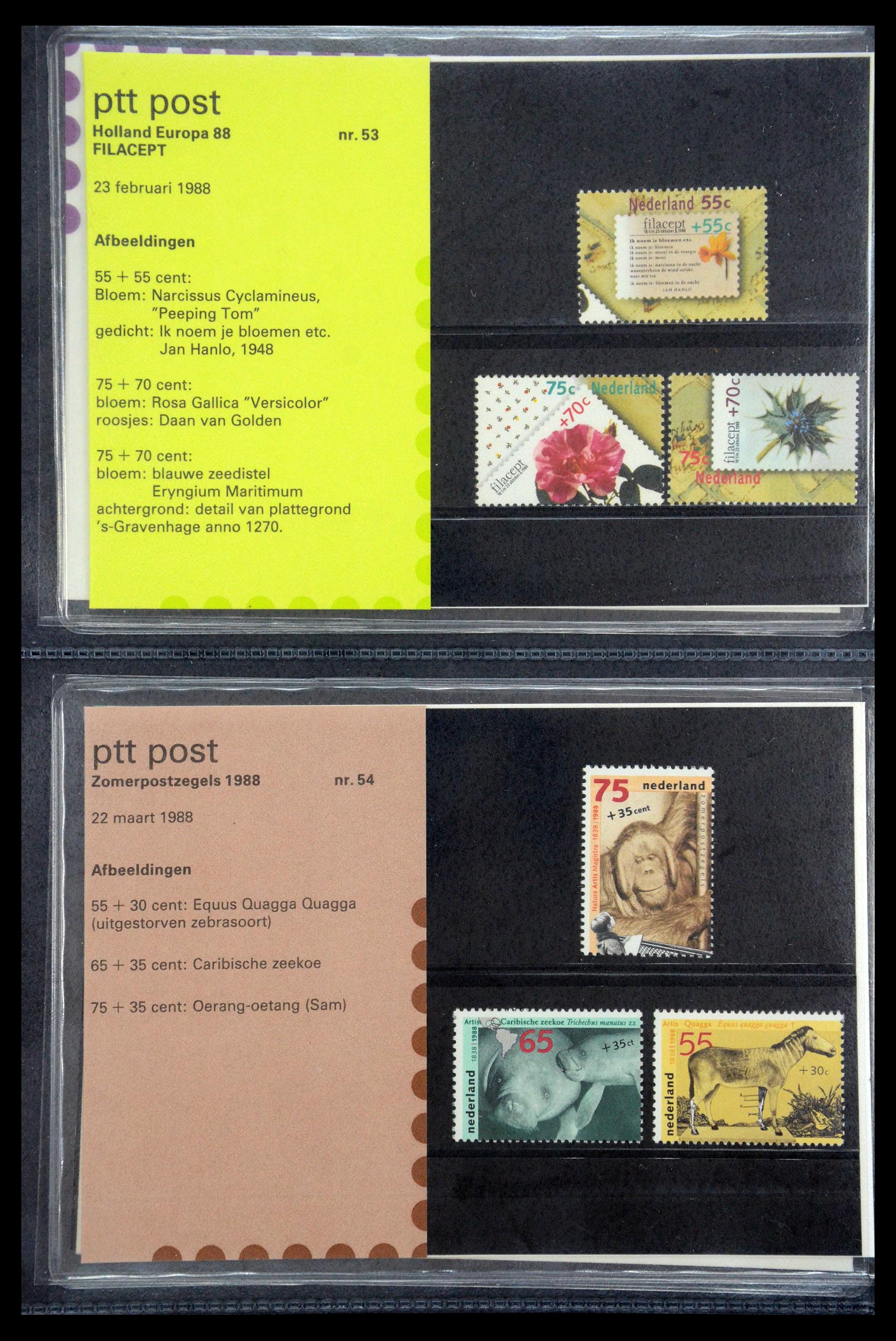 35187 027 - Postzegelverzameling 35187 Nederland PTT mapjes 1982-2019!