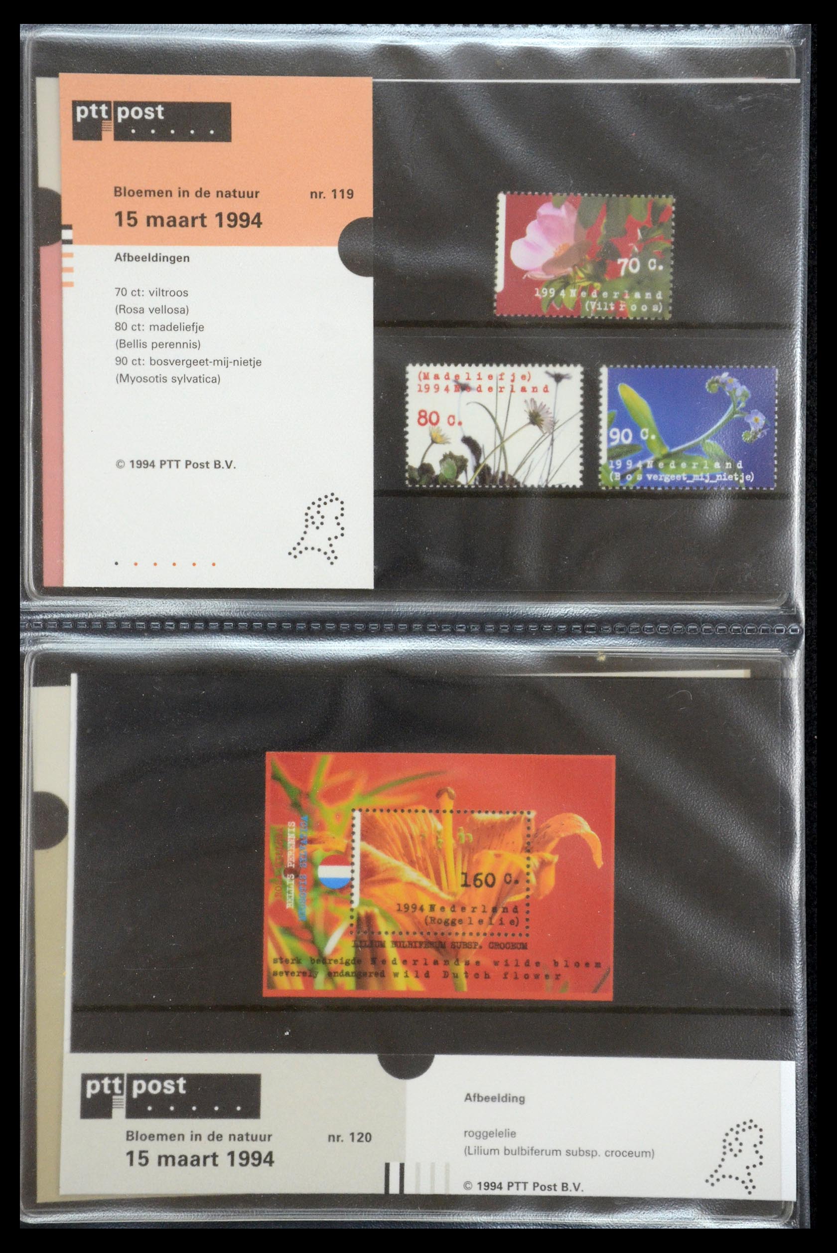 35187 061 - Stamp Collection 35187 Netherlands PTT presentation packs 1982-2019!