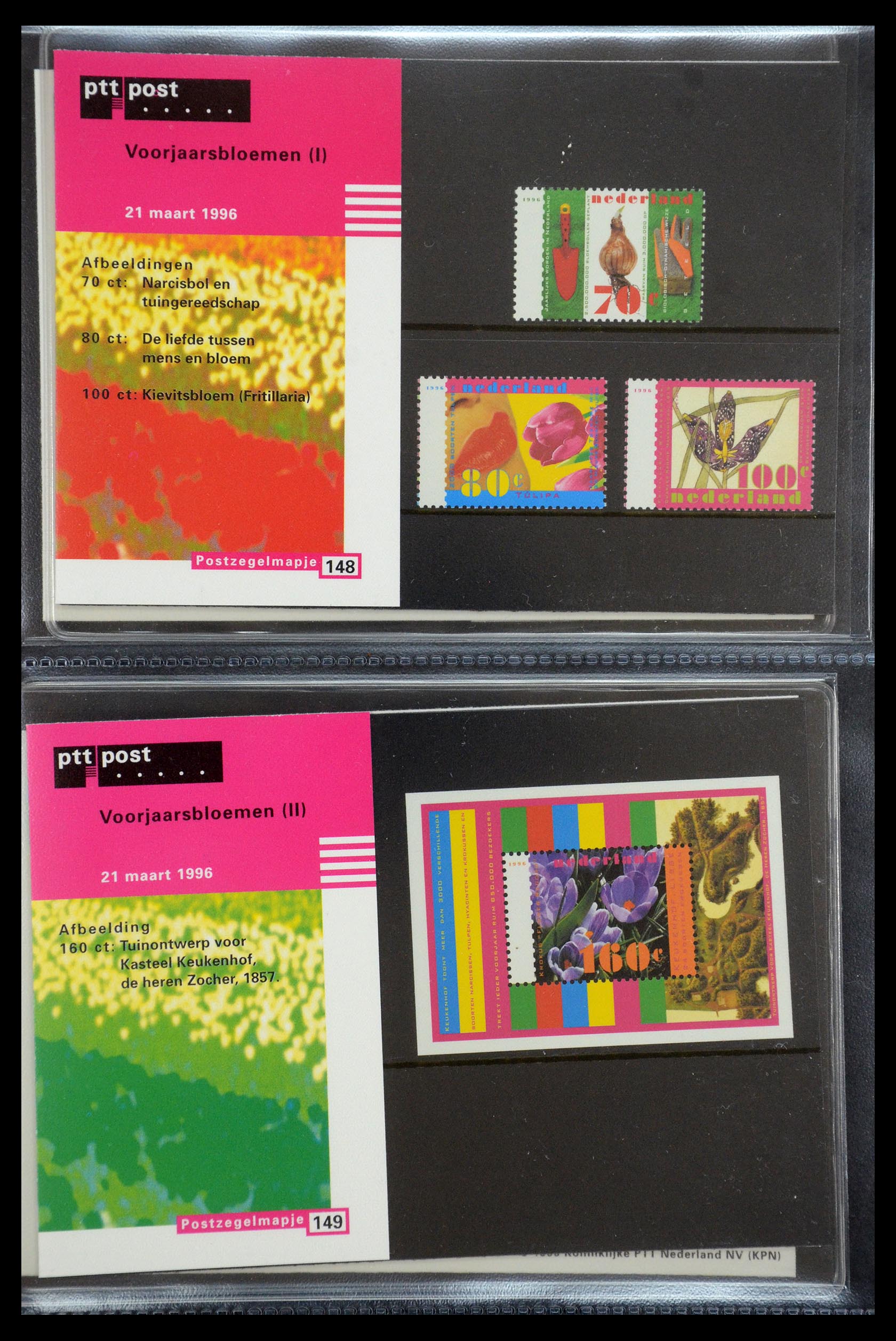 35187 076 - Stamp Collection 35187 Netherlands PTT presentation packs 1982-2019!