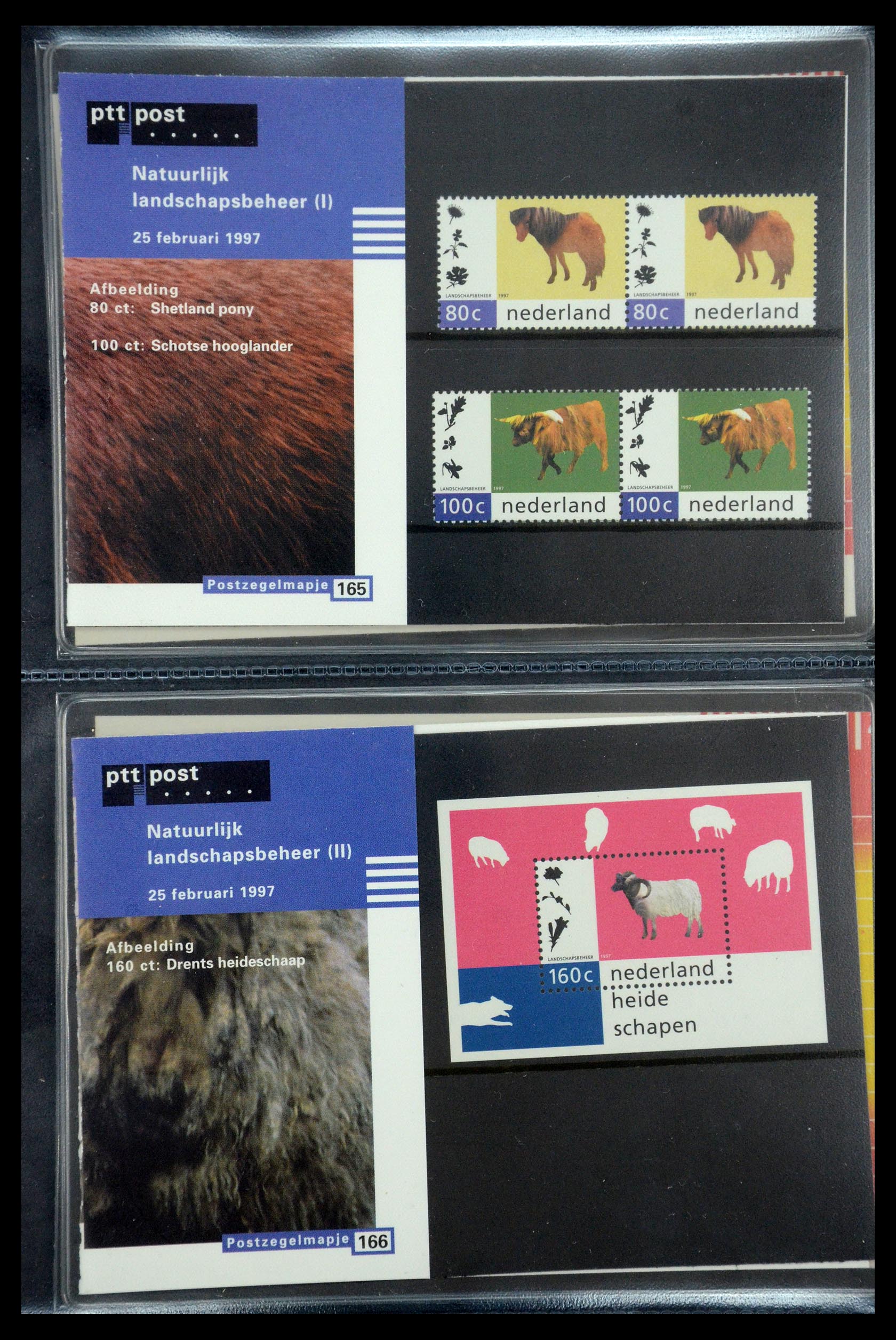 35187 085 - Stamp Collection 35187 Netherlands PTT presentation packs 1982-2019!