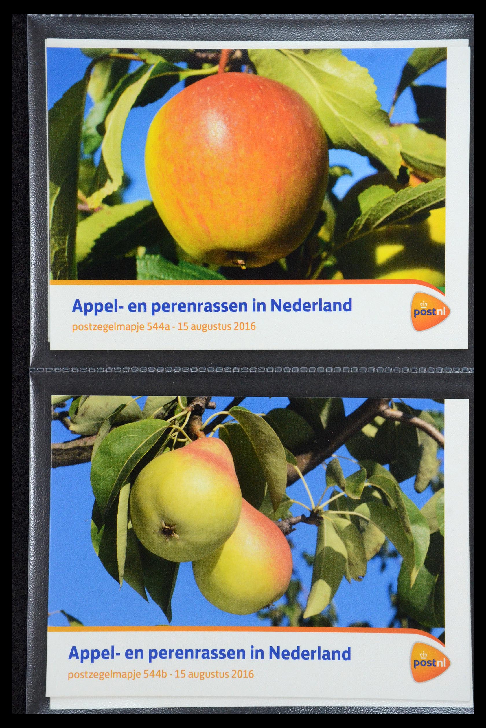 35187 324 - Stamp Collection 35187 Netherlands PTT presentation packs 1982-2019!