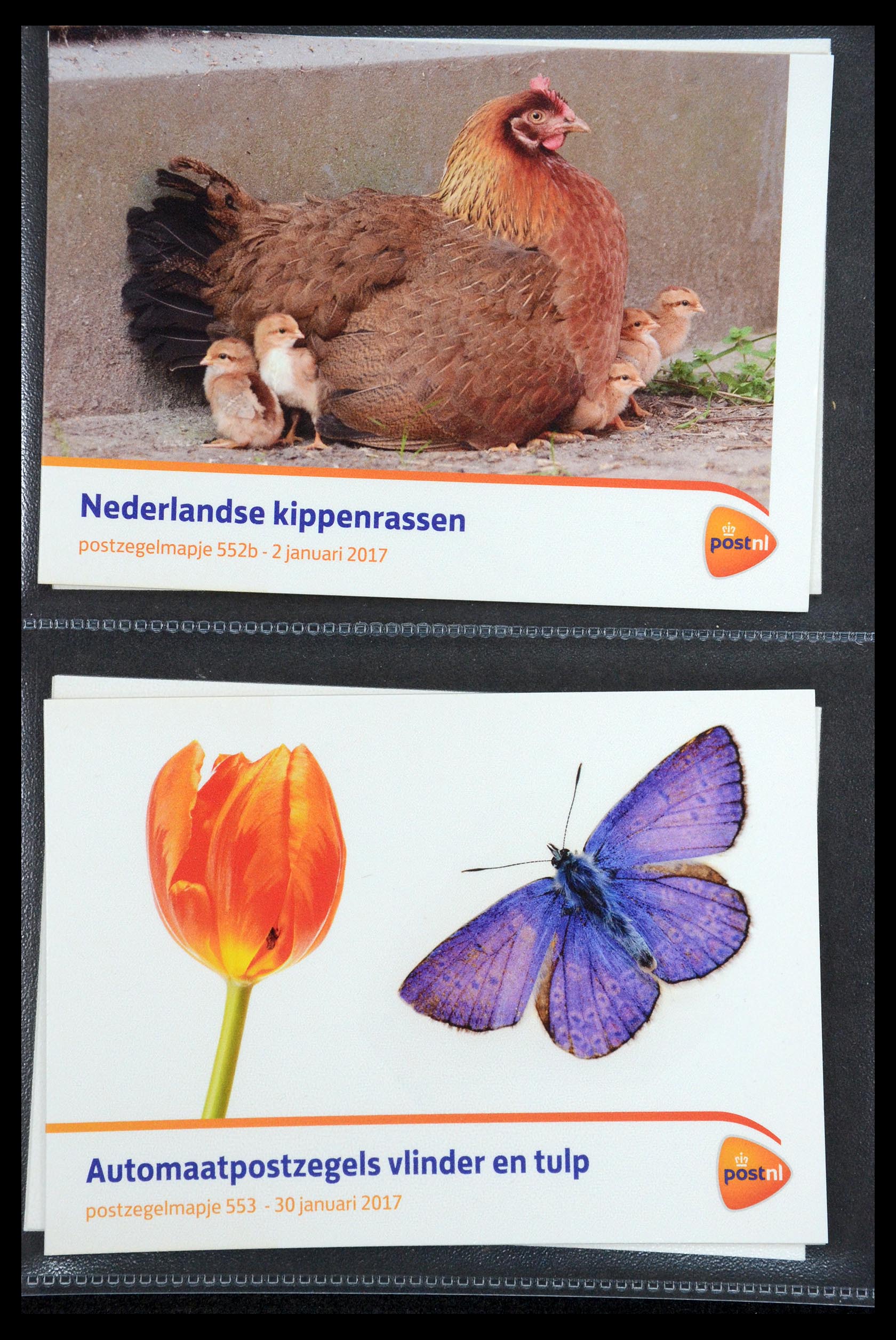 35187 330 - Stamp Collection 35187 Netherlands PTT presentation packs 1982-2019!