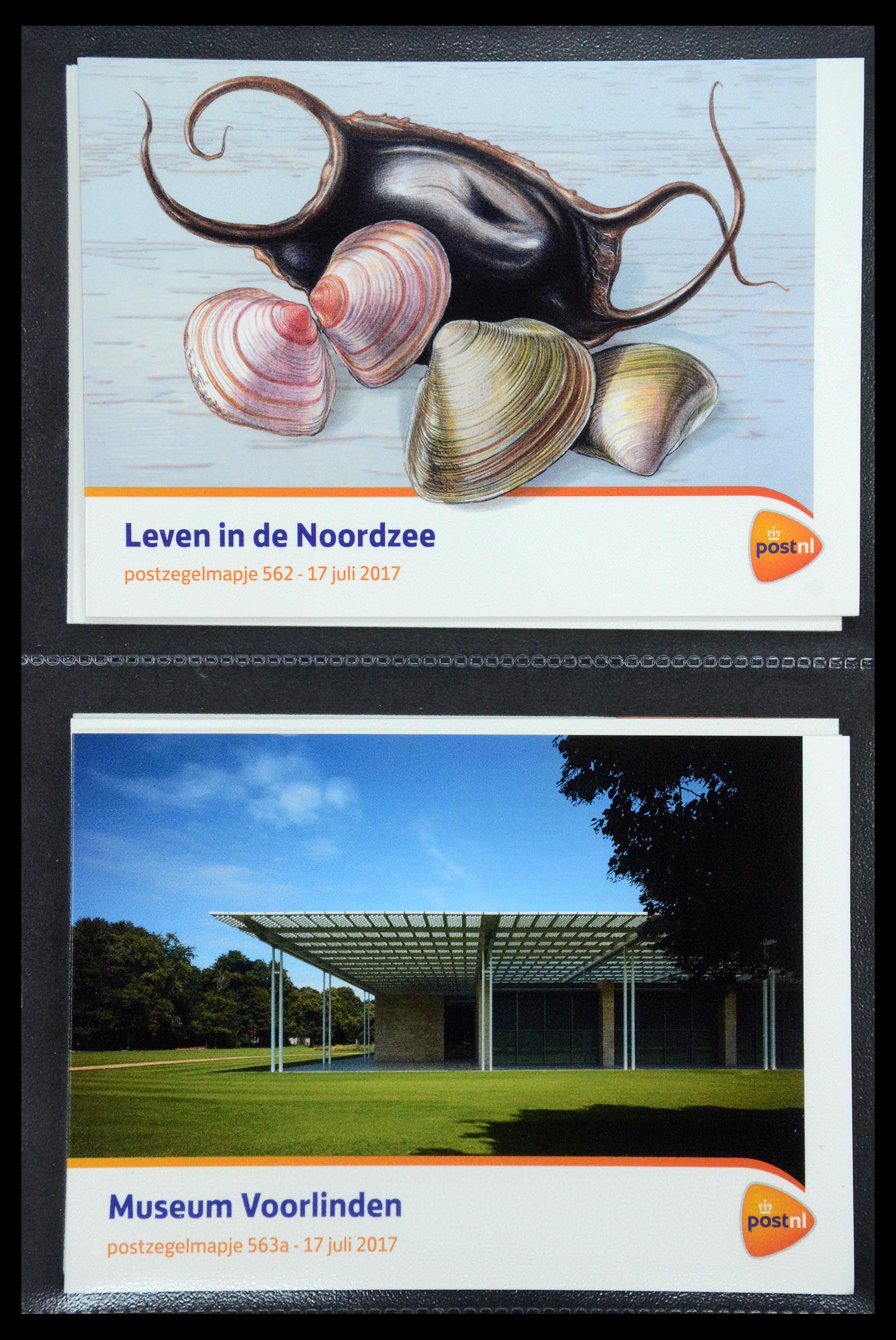 35187 337 - Stamp Collection 35187 Netherlands PTT presentation packs 1982-2019!