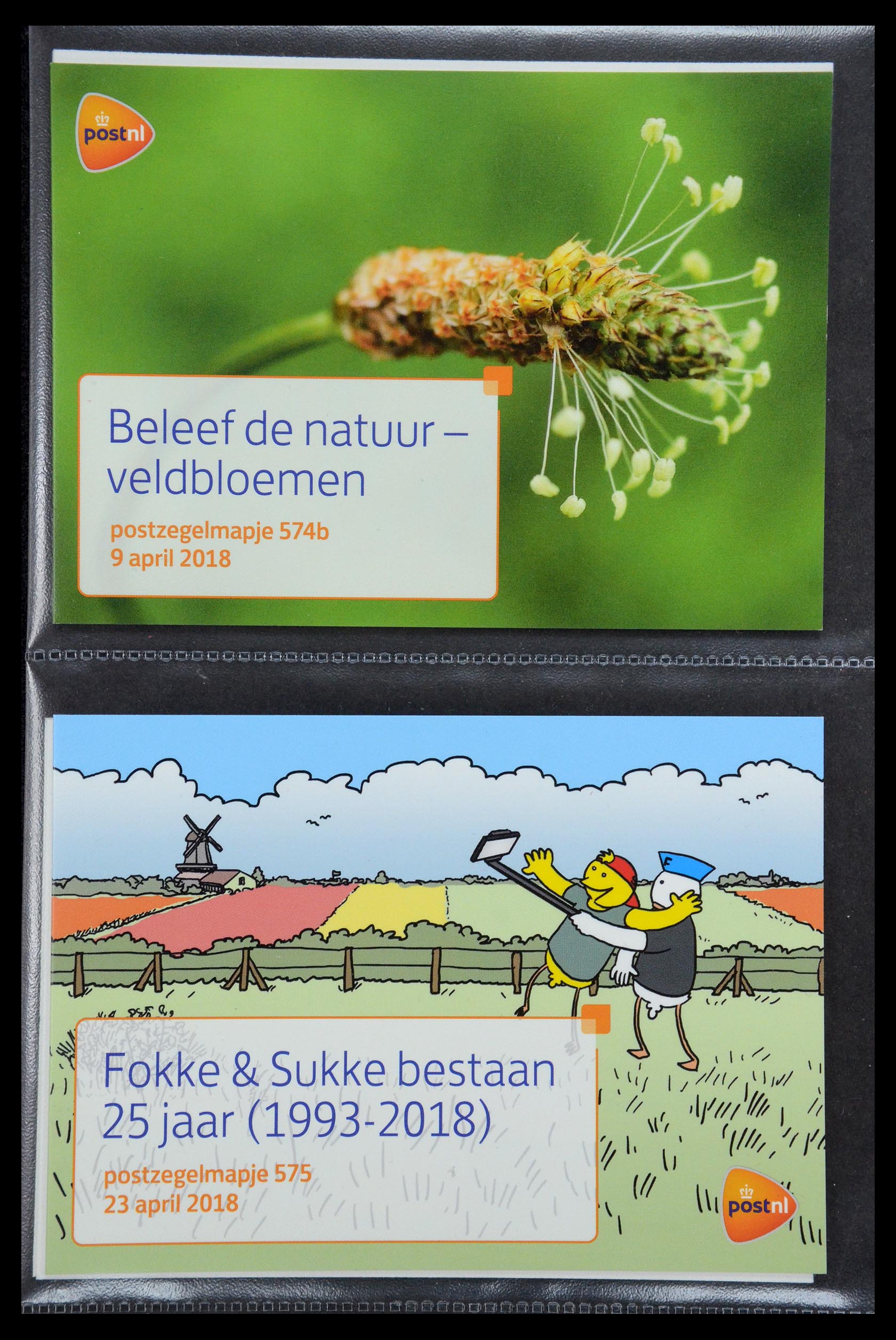 35187 346 - Stamp Collection 35187 Netherlands PTT presentation packs 1982-2019!