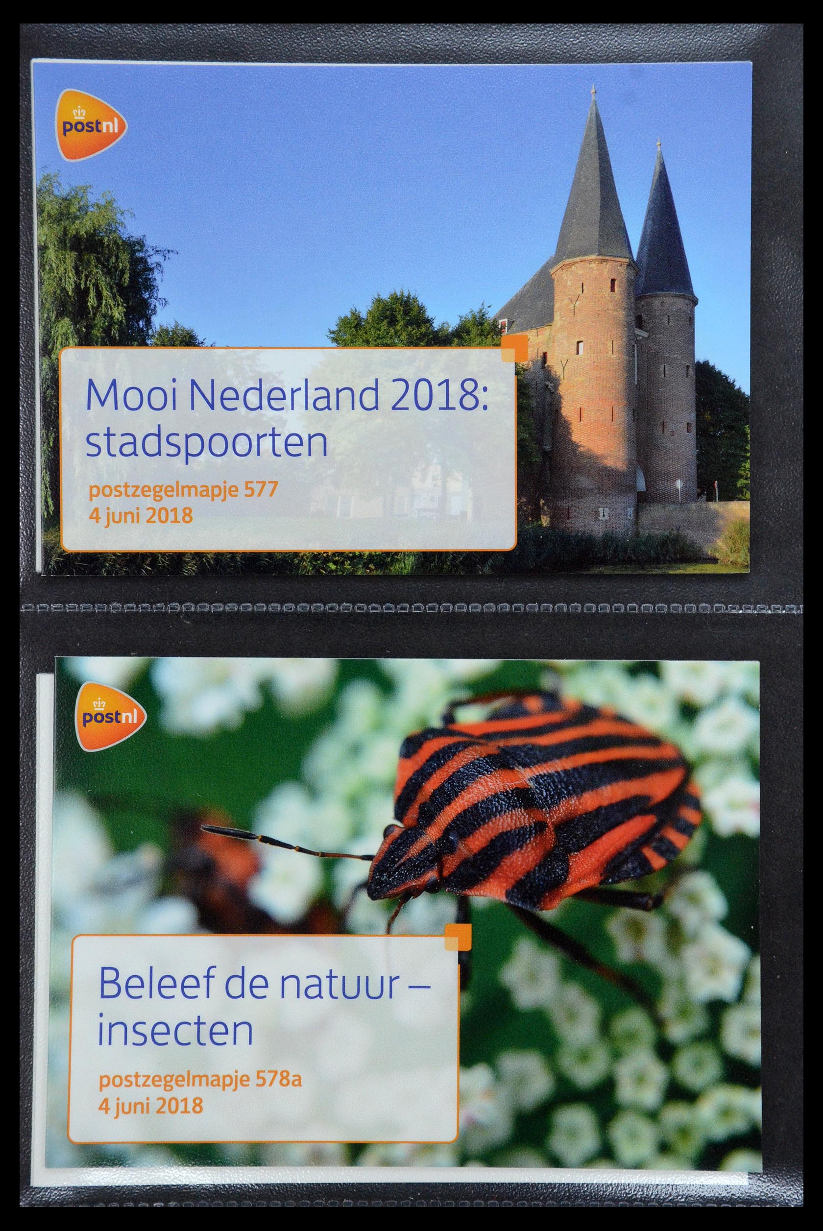 35187 348 - Stamp Collection 35187 Netherlands PTT presentation packs 1982-2019!
