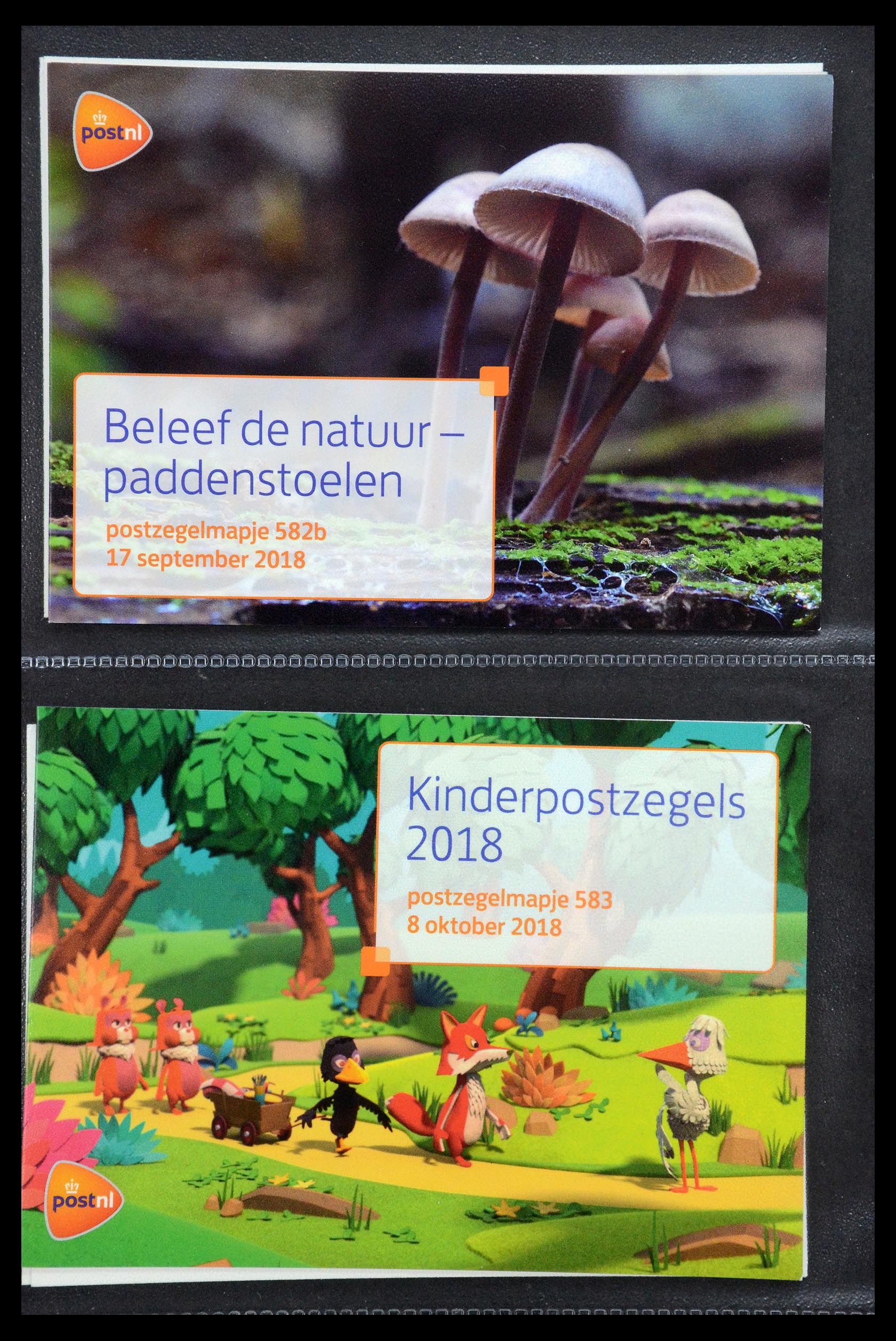 35187 352 - Stamp Collection 35187 Netherlands PTT presentation packs 1982-2019!