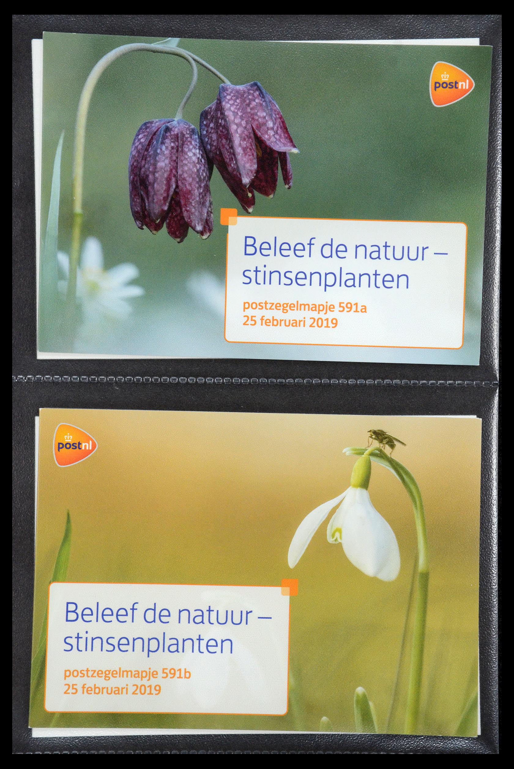 35187 357 - Stamp Collection 35187 Netherlands PTT presentation packs 1982-2019!