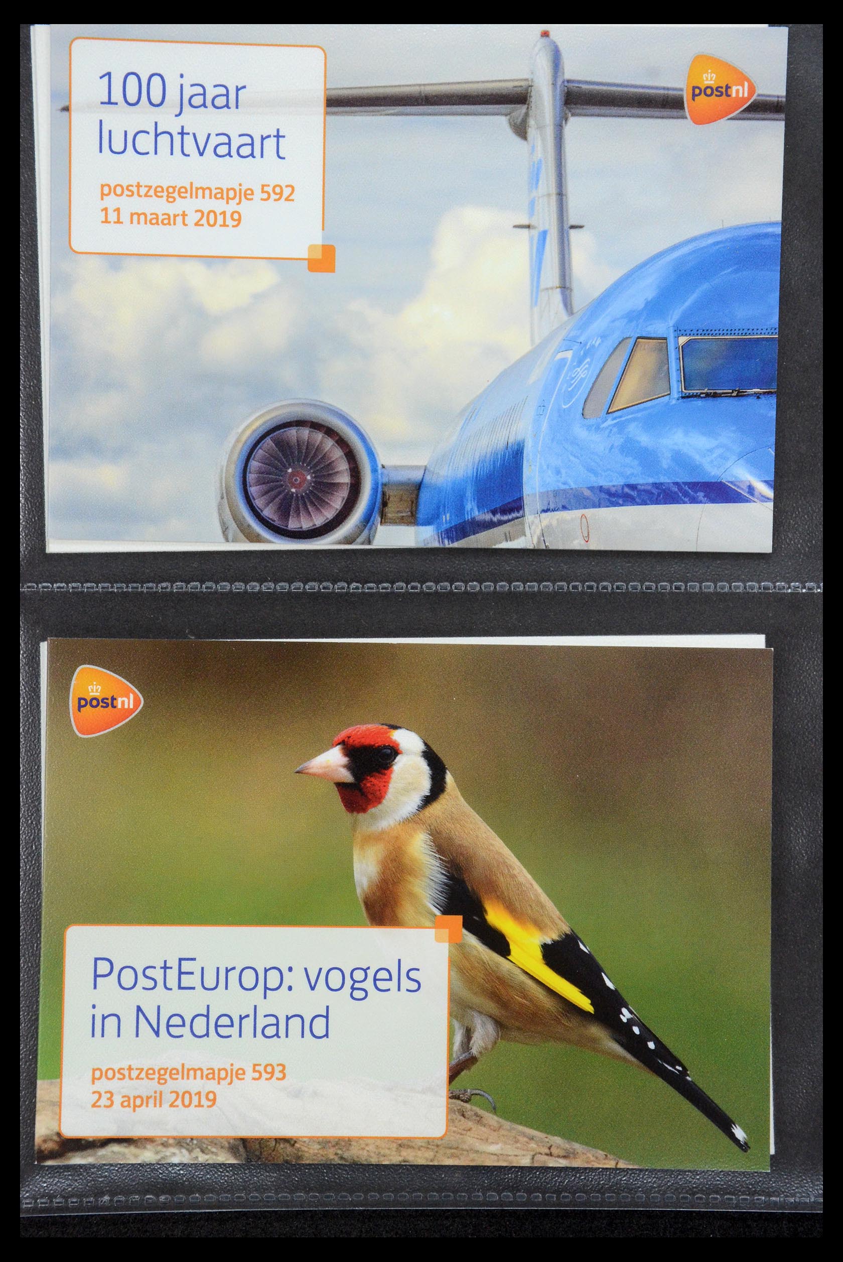 35187 358 - Stamp Collection 35187 Netherlands PTT presentation packs 1982-2019!
