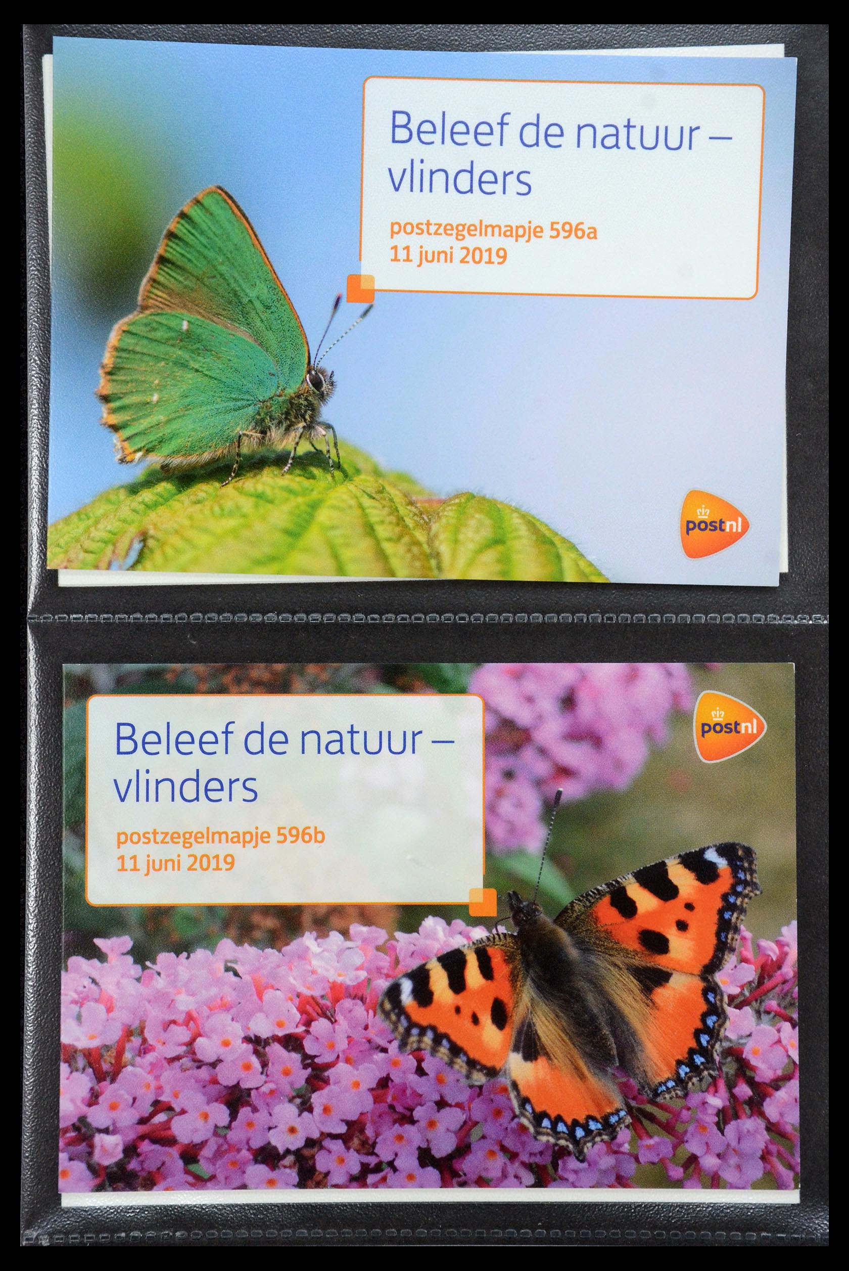 35187 360 - Stamp Collection 35187 Netherlands PTT presentation packs 1982-2019!