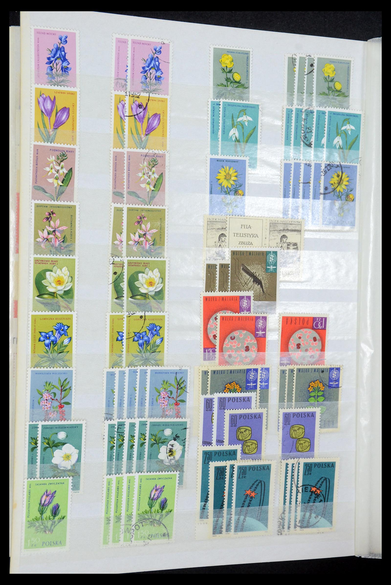 35238 053 - Postzegelverzameling 35238 Polen 1945-1964.