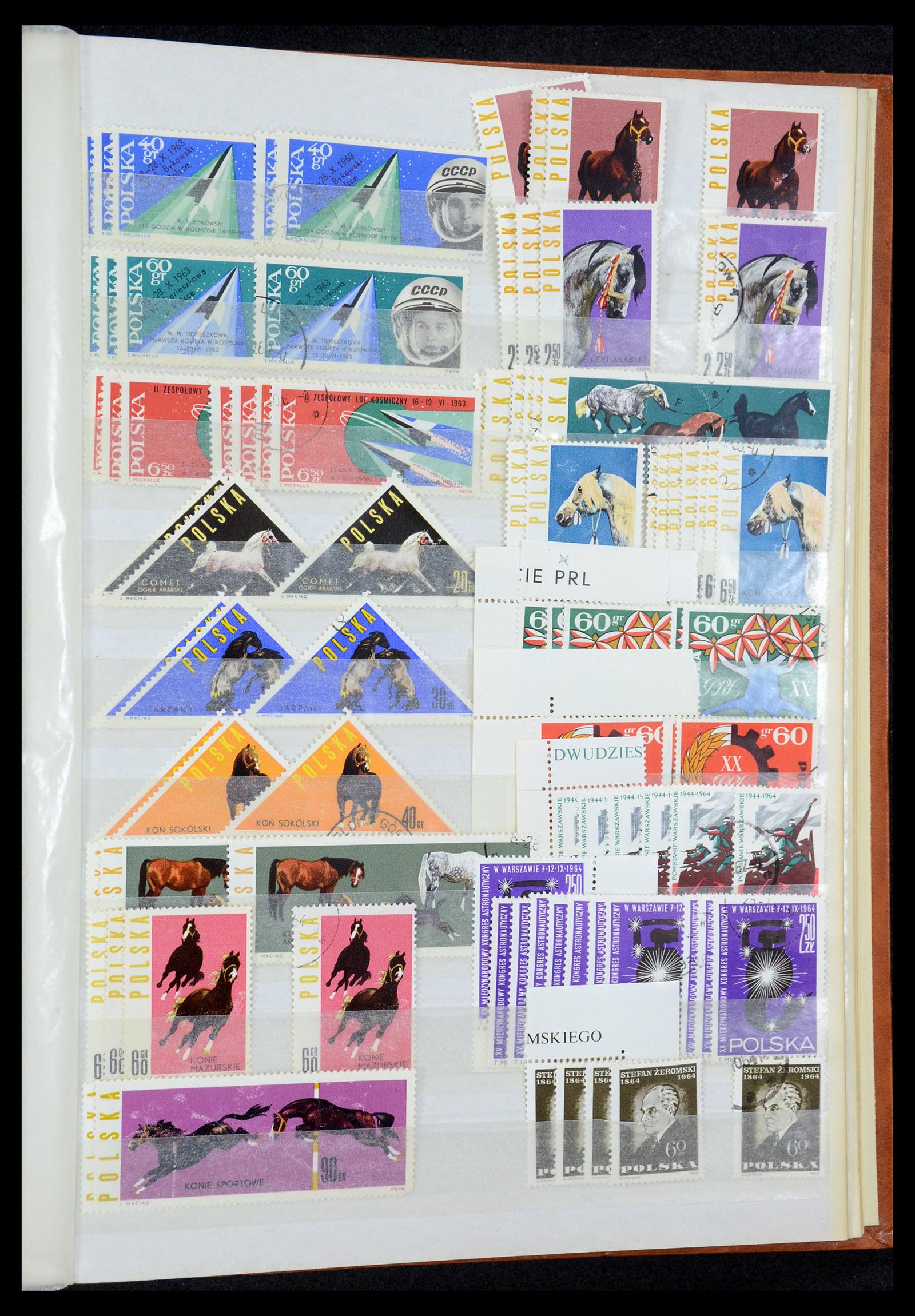 35238 059 - Postzegelverzameling 35238 Polen 1945-1964.