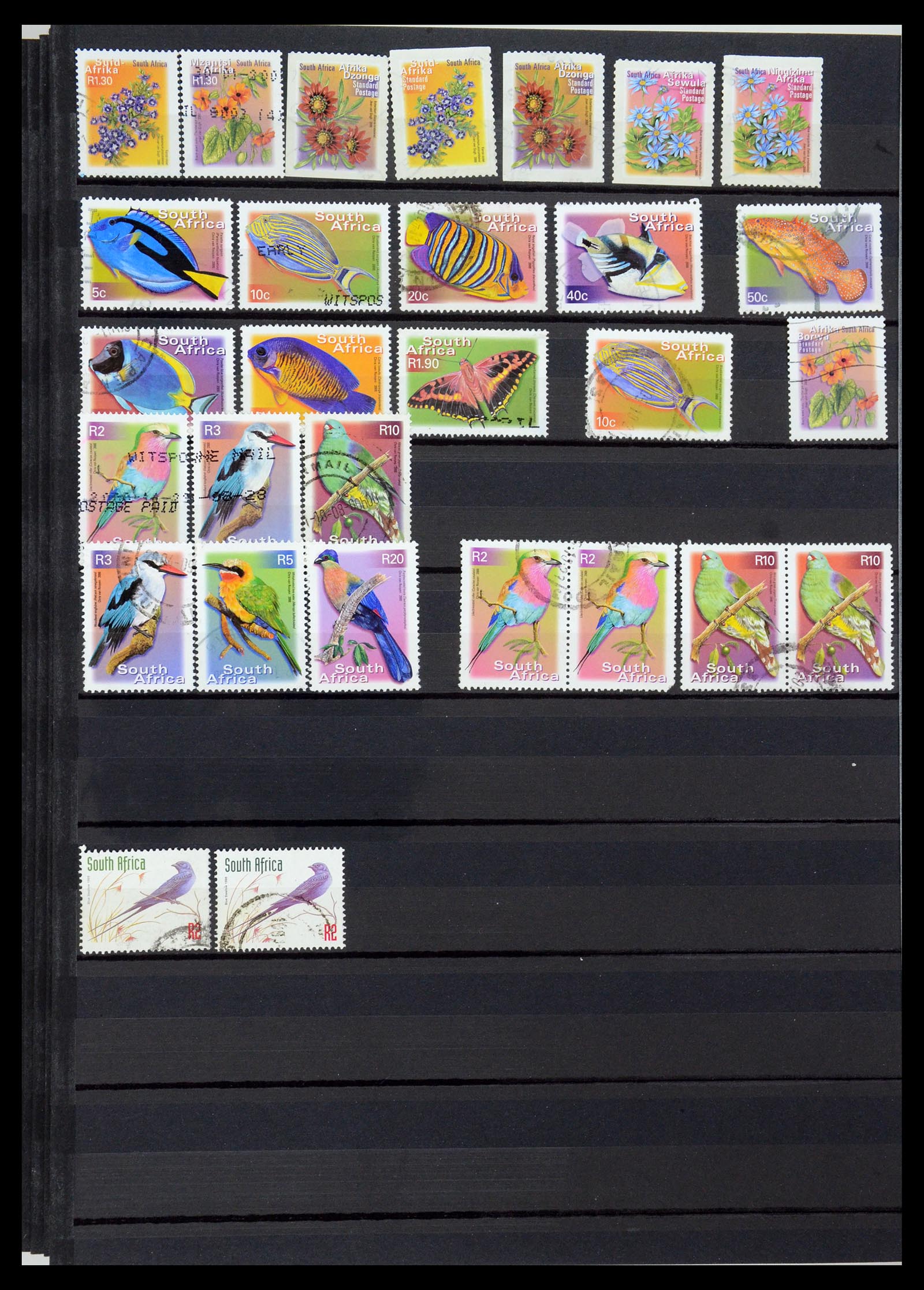 35242 182 - Postzegelverzameling 35242 Zuid Afrika en gebieden 1860-2000.